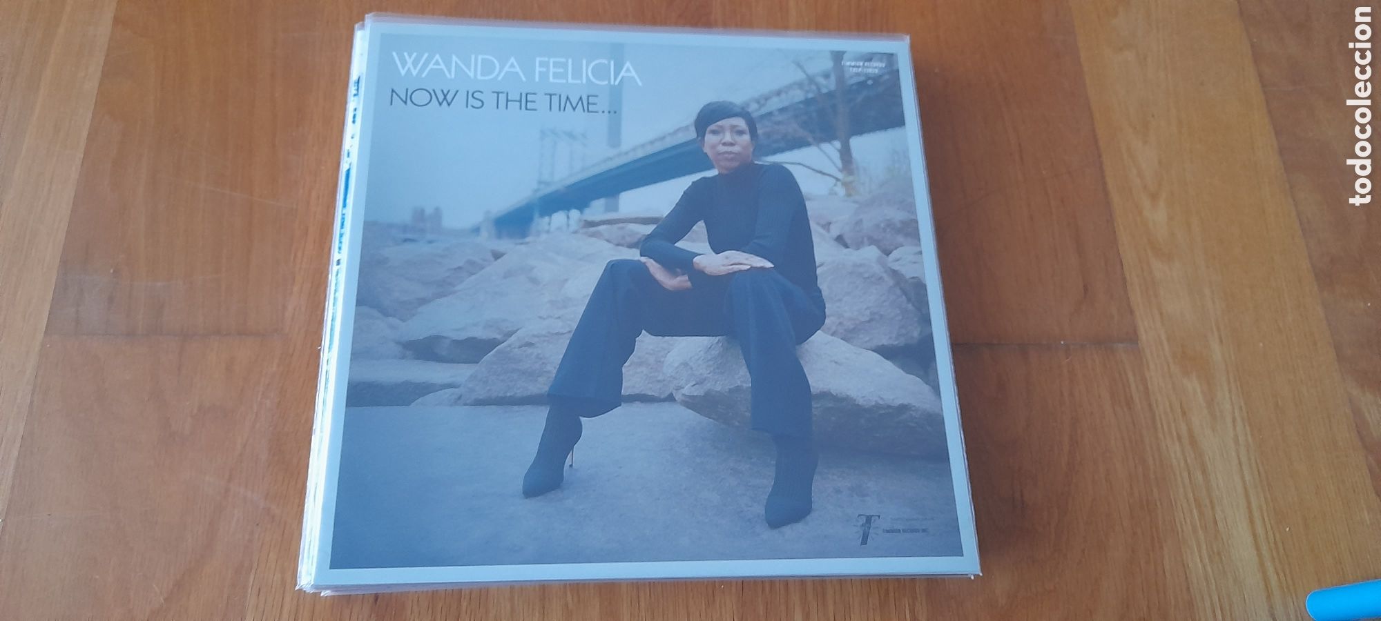 Discos de vinilo: Wanda Felicia - Now is the time