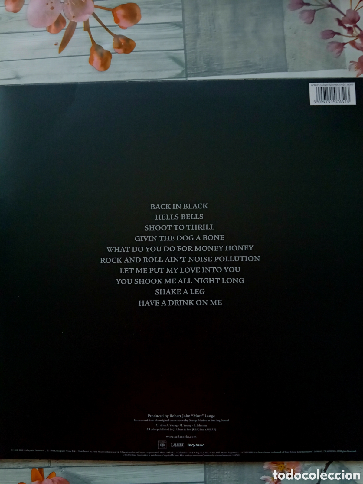Discos de vinilo: AC/DC BACK IN BLACK. 2003 - Foto 3