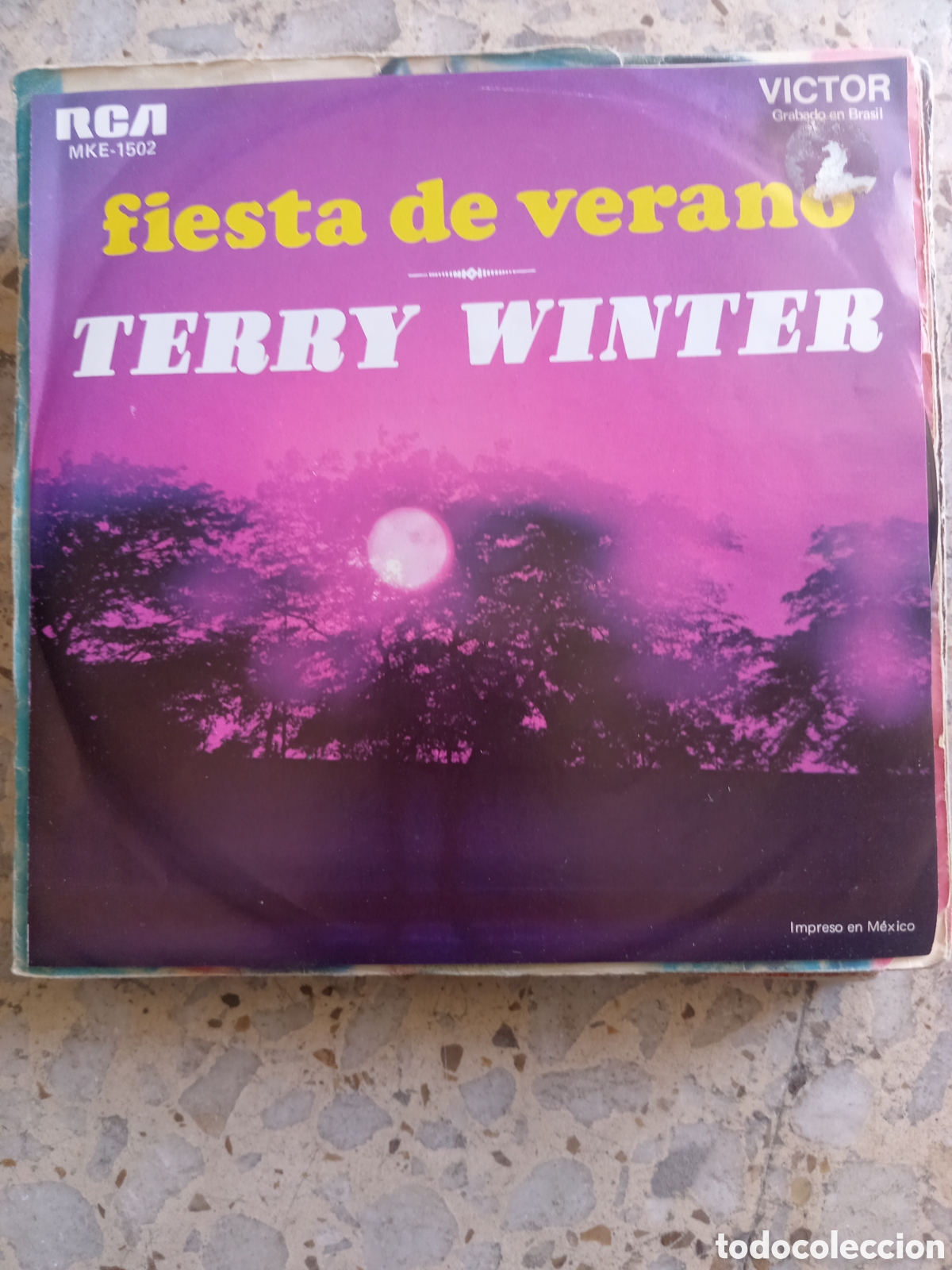 Discos de vinilo: SGL TERRY WINTER FIESTA DE VERANO 1972 MEXICO