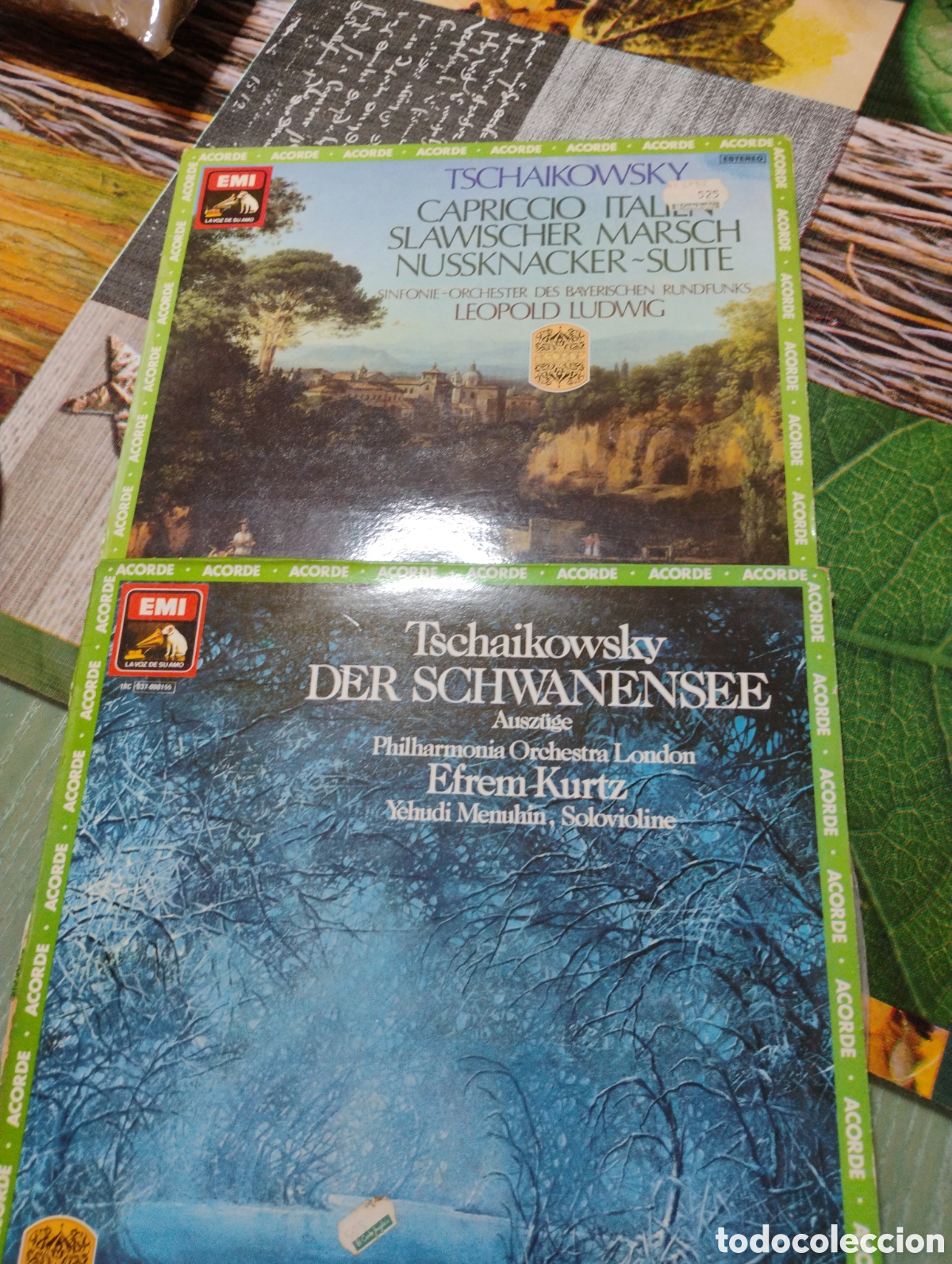 Discos de vinilo: Dos discos de vinilo.Tschaiko2ski