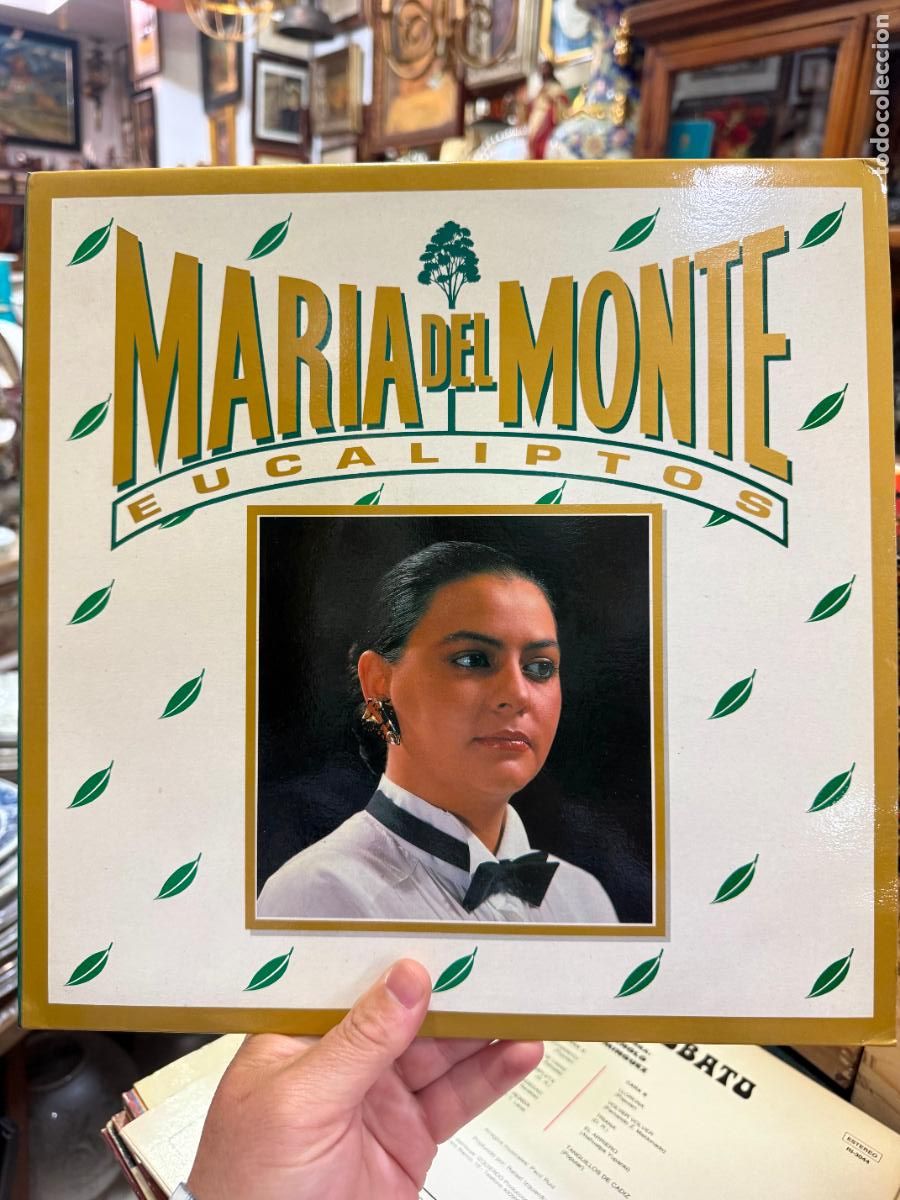 Discos de vinilo: LP MARIA DEL MONTE - EUCALIPTOS