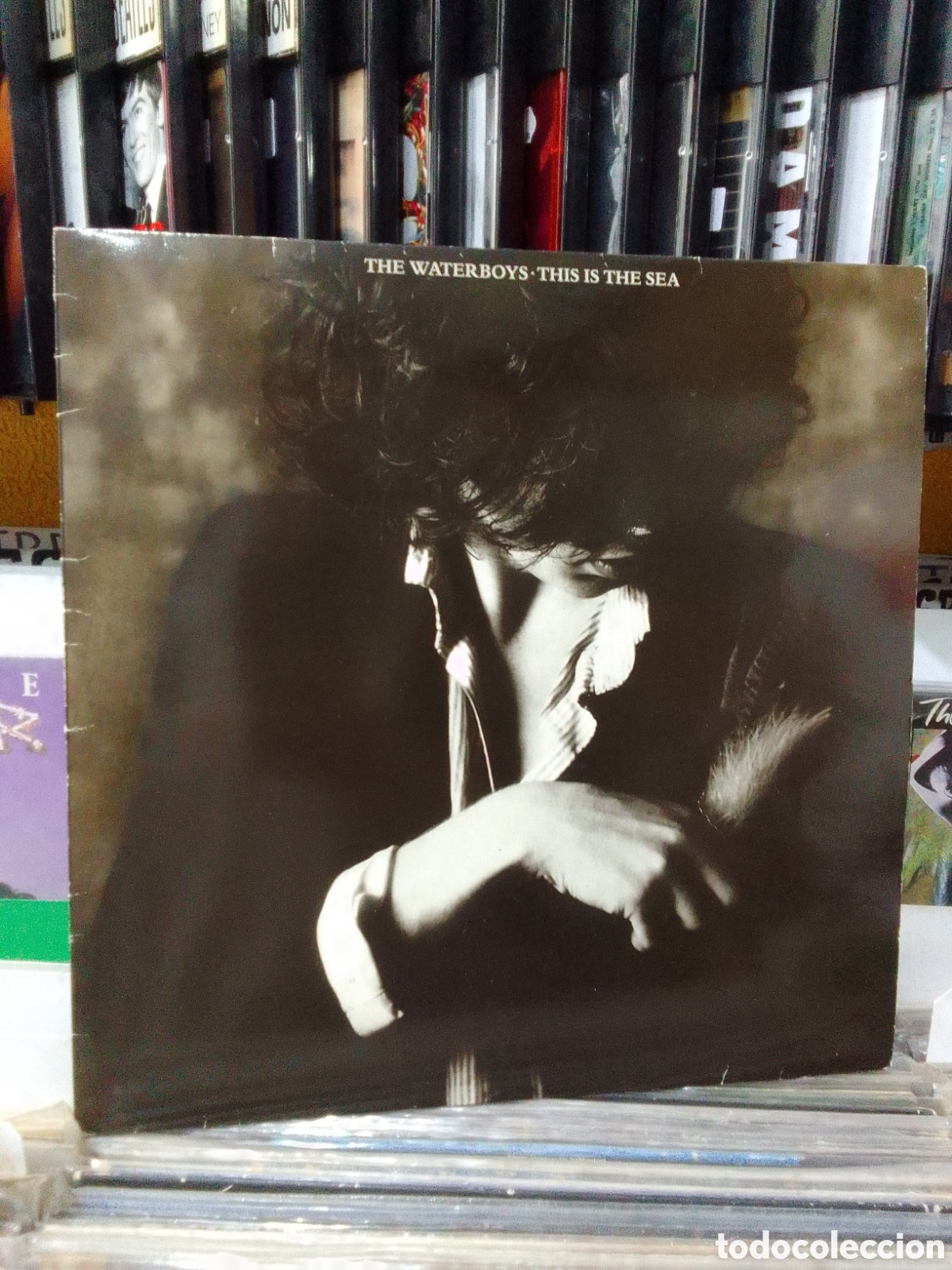 Discos de vinilo: The waterboys this is the sea