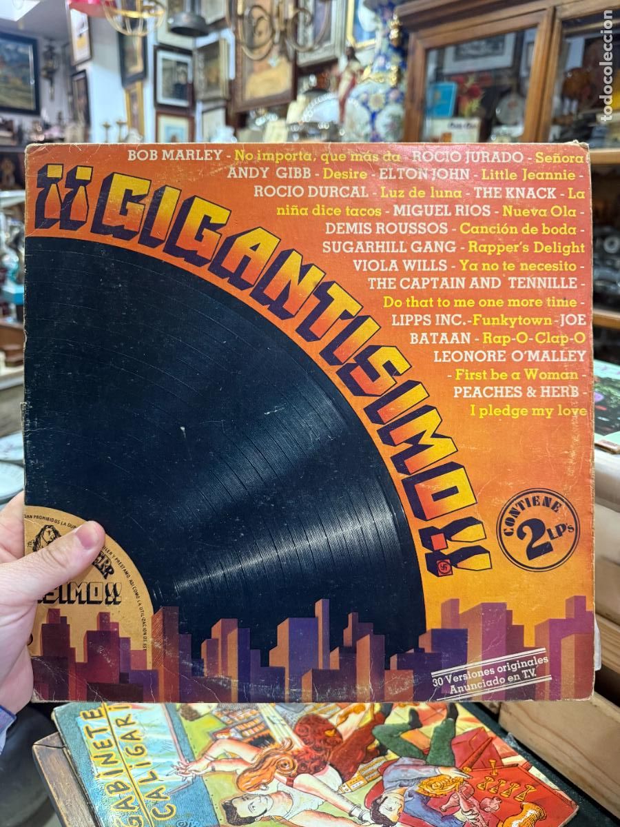 Discos de vinilo: DOBLE LP &iexcl;&iexcl;GIGANTISIMO!!
