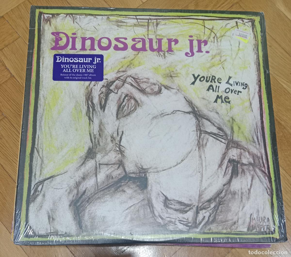Discos de vinilo: Dinosaur Jr. &lrm;&ndash; You're Living All Over Me Lp EEUU 2011