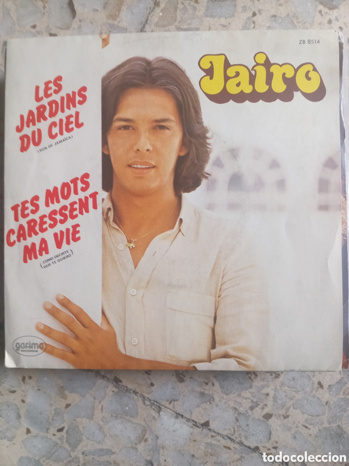 Discos de vinilo: SGL JAIRO LES JARDINS DU CIEL 1980 FRANCIA