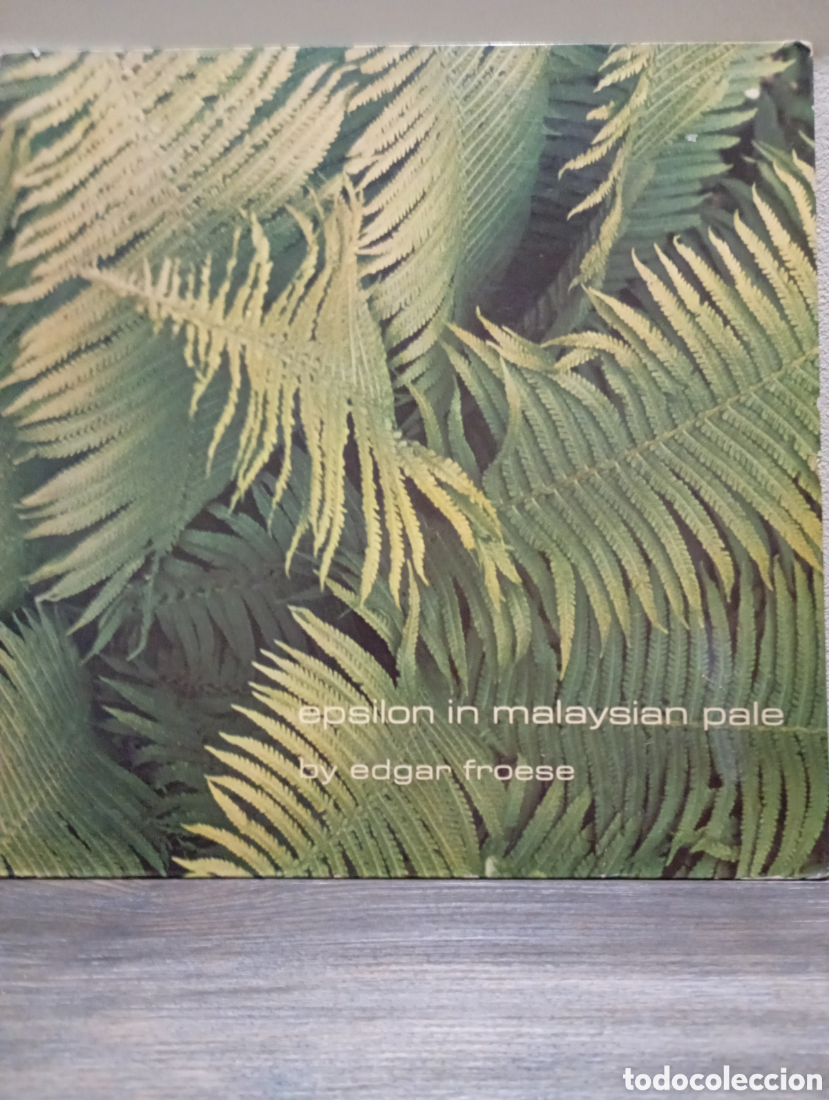 Discos de vinilo: &Eacute;psilon in malaysian pale by Edgar froese 1975 U.K.