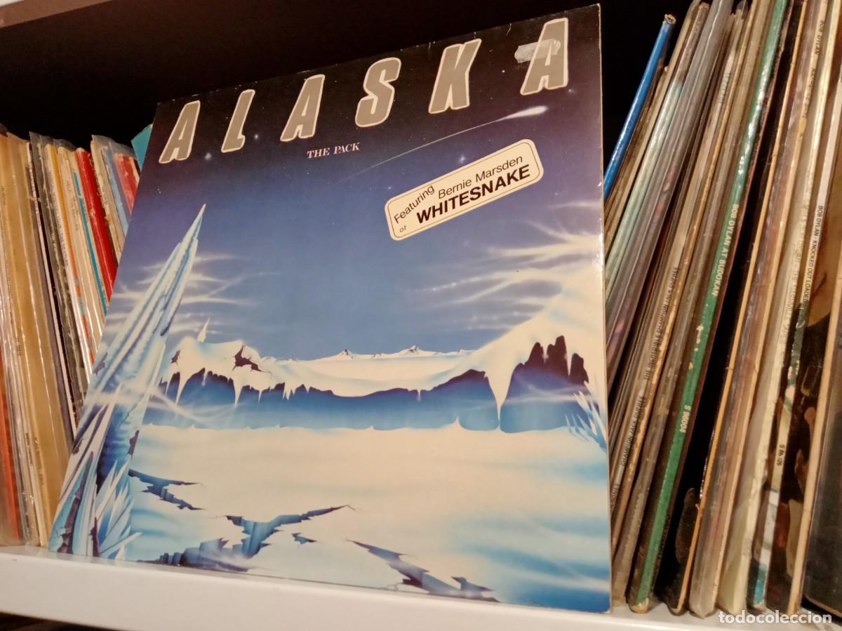 Discos de vinilo: Alaska &lrm;&ndash; The Pack - LP Germany 1985 - Foto 1