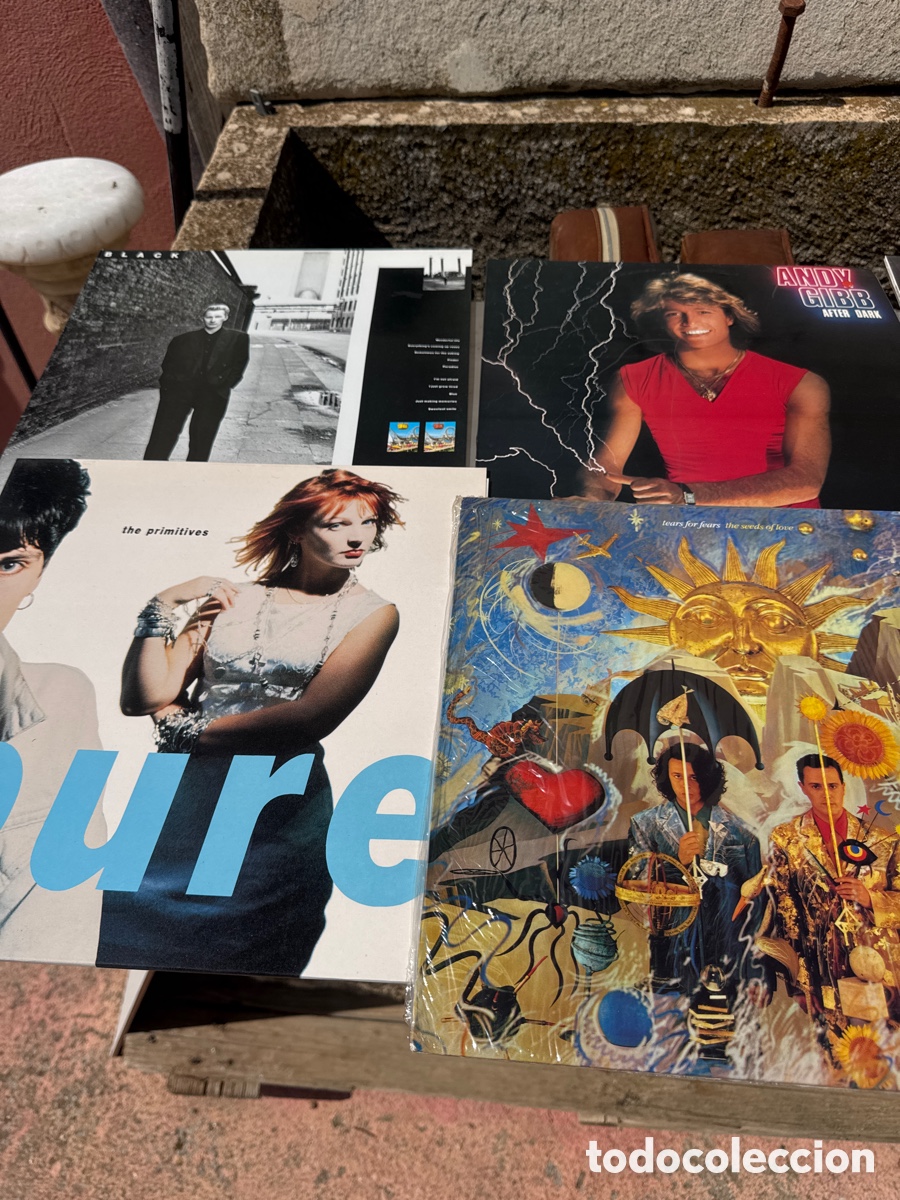 Discos de vinilo: Lote 13 Discos De Vinilo, en muy buen estado de conservaci&oacute;n sin uso