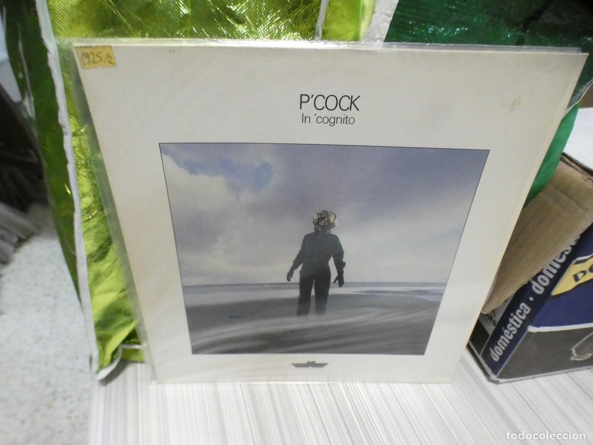Discos de vinilo: ARKANSAS1980 CAJJ699 VINILO BUEN ESTADO P'COCK IN 'COGNITO
