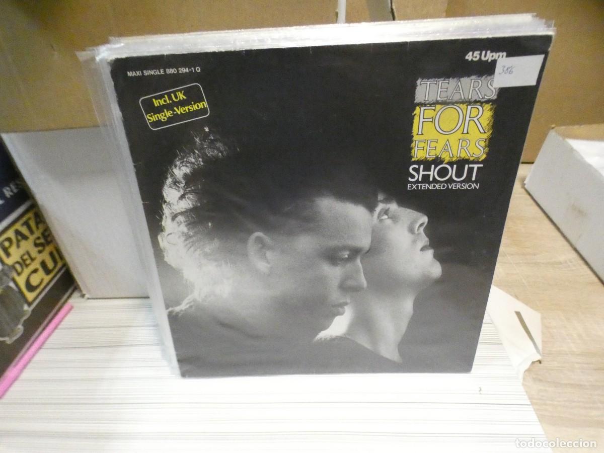 Discos de vinilo: ARKANSAS1980 LOTT713 VINILO LEVE USO AUN CORRECTO TEARS FOR FEARS