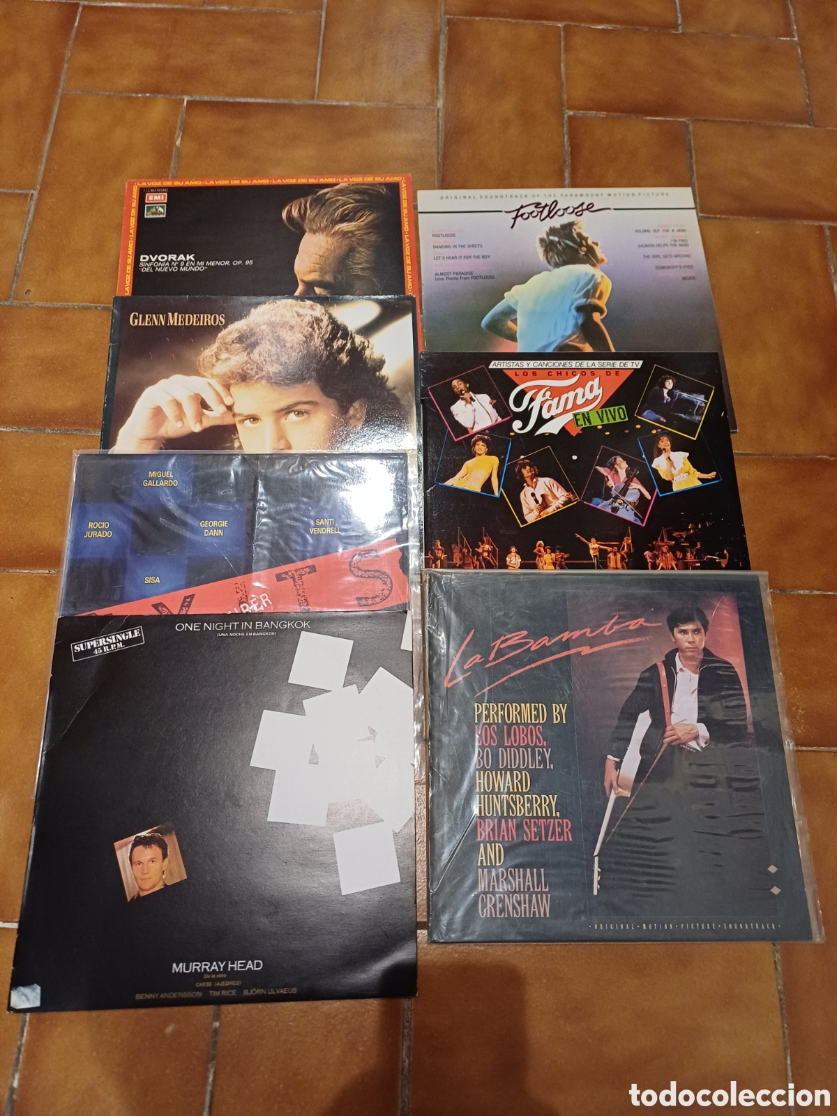Dischi in vinile: 33 Discos de vinilo LP's
