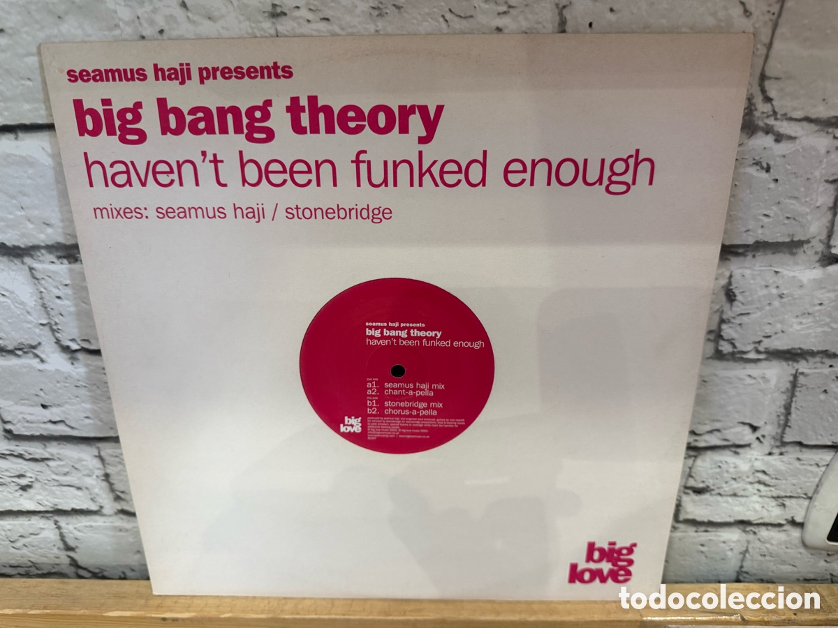 Discos de vinilo: Big Bang Theory &ndash; Haven't Been Funked Enough. Maxi vinilo house 2003