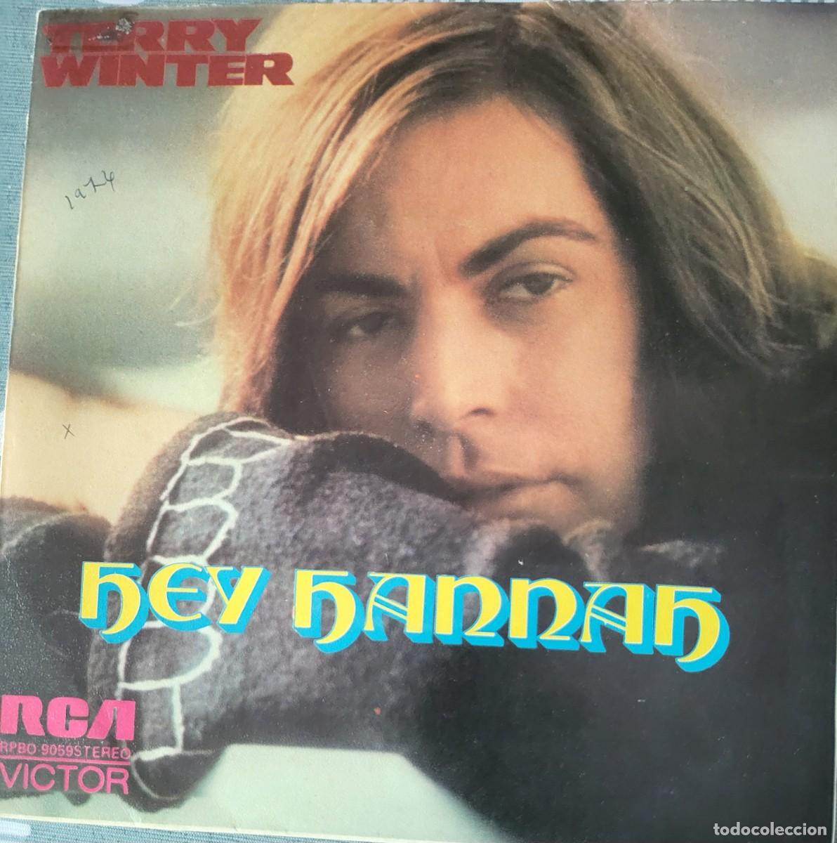 Discos de vinilo: Terry Winter single sello RCA Victor editado en Espa&ntilde;a a&ntilde;o 1975 promocional...