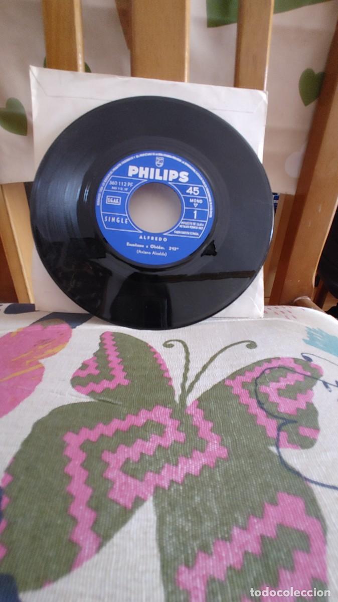 Discos de vinilo: ALFREDO-SINGLE ENSE&Ntilde;AME A OLVIDAR-SIN FUNDA - Foto 2