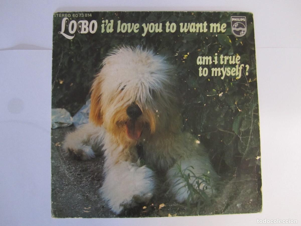 Discos de vinilo: disco vinilo single lobo i'd love you want me