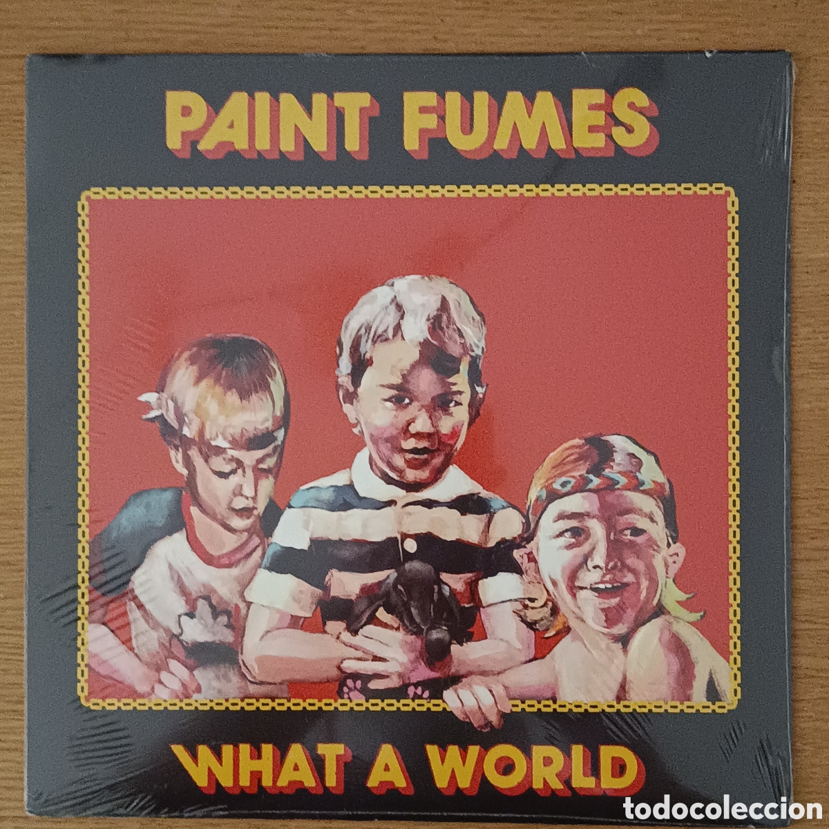 Discos de vinilo: Paint Fumes LP What A World