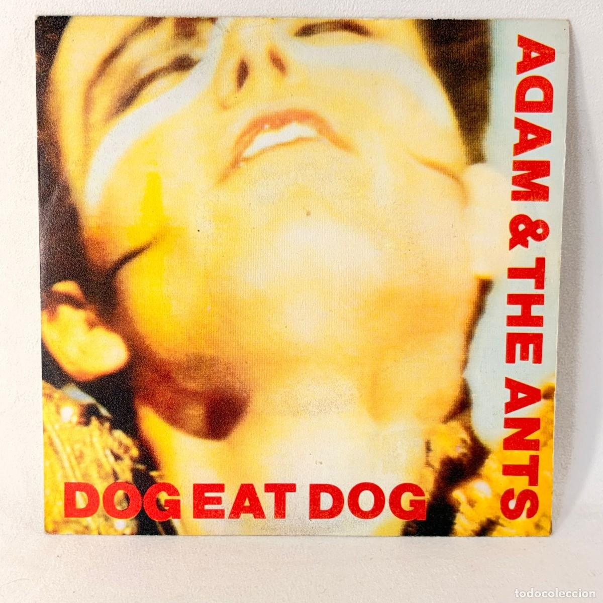 Discos de vinilo: SINGLE ADAM & THE ANTS - DOG EAT DOG - ESPA&Ntilde;A 1981
