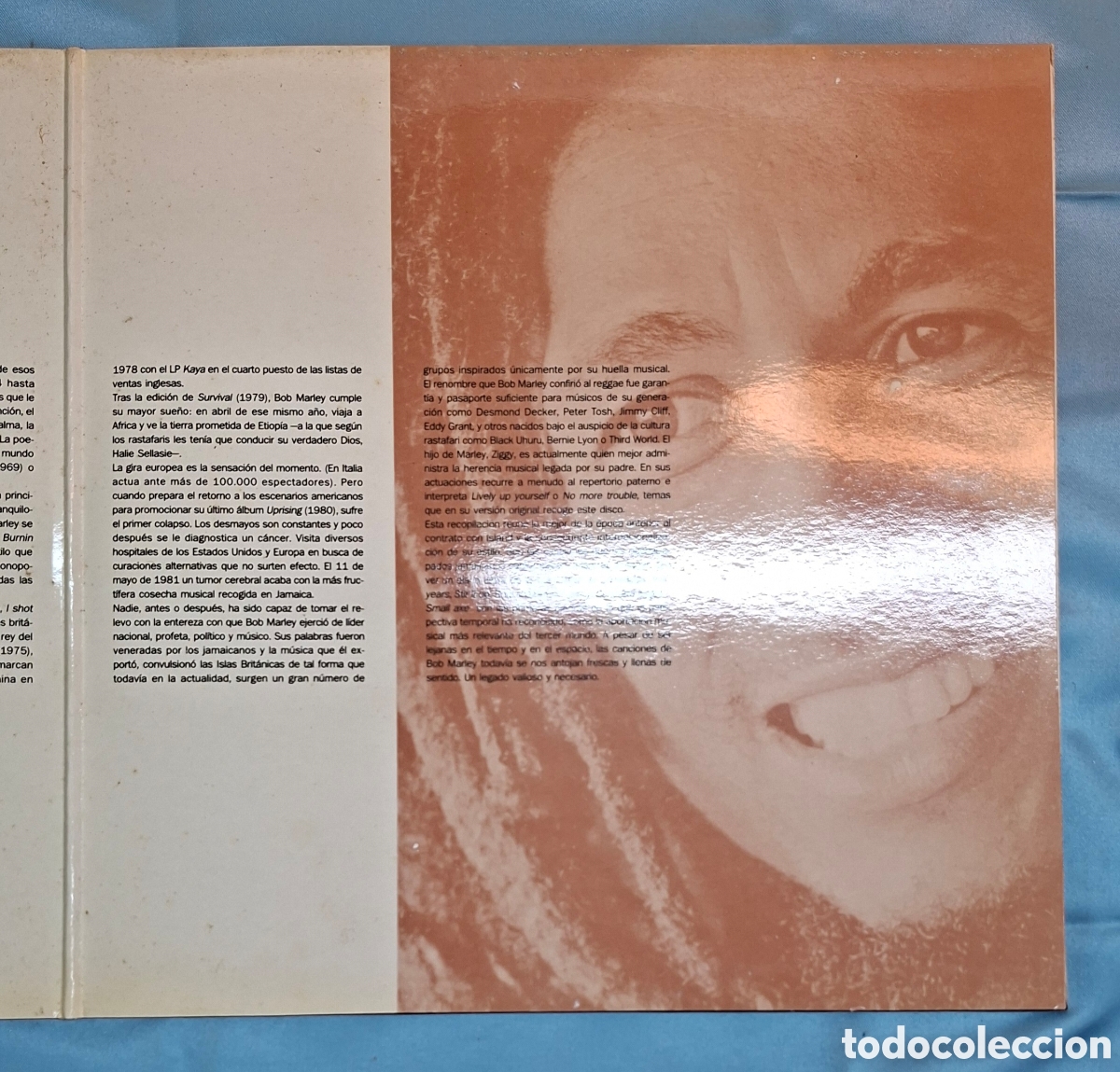 Discos de vinilo: Vinilo Bob Marley - Serie Oro - Foto 3