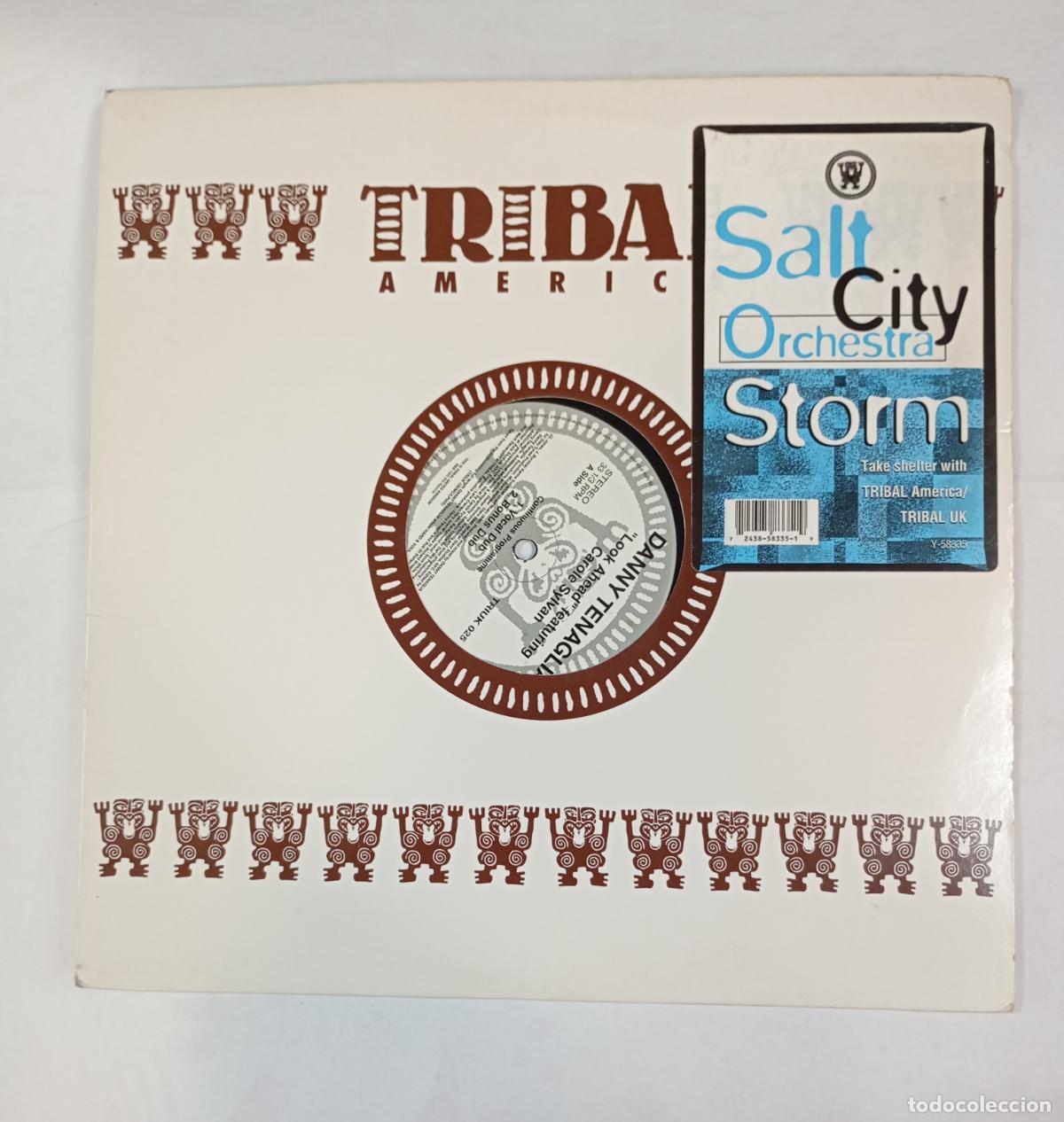 Discos de vinilo: DISCO VINILO. LP. TDKLP