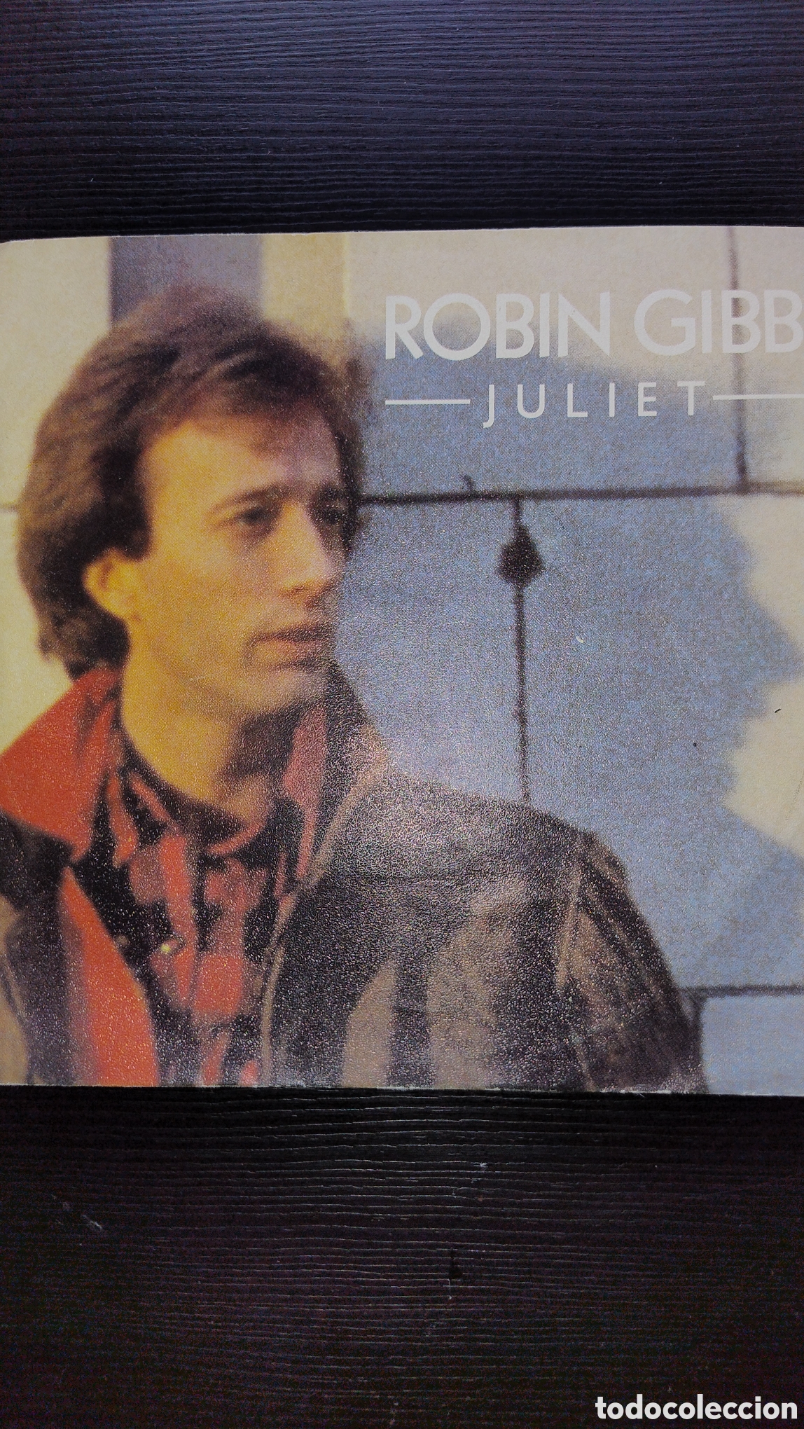 Discos de vinilo: Robin gibb disco 45 revoluciones por minuto