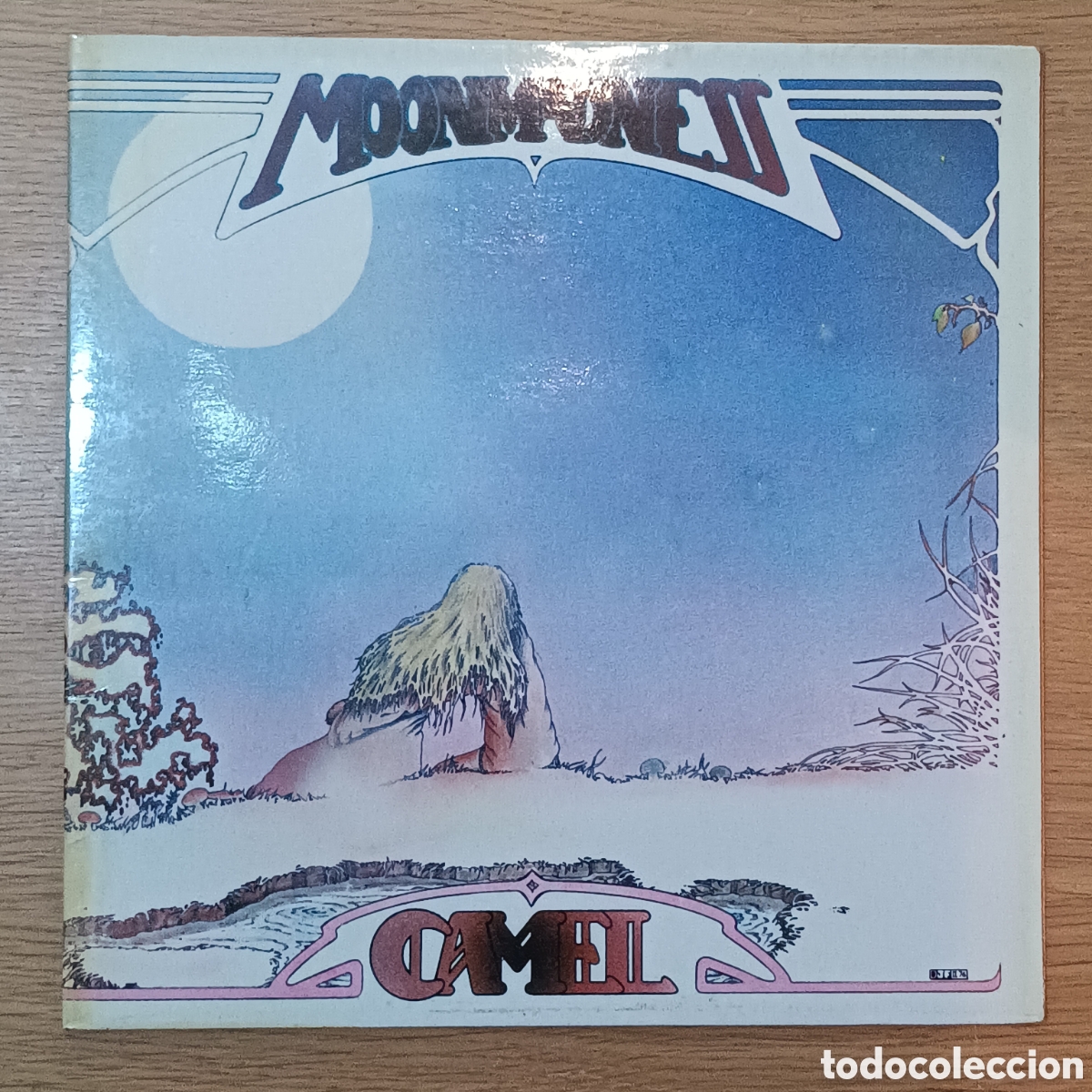 Vinyl-Schallplatten: Camel LP Moon Madness (Francia)