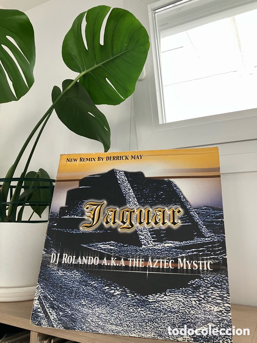 Discos de vinilo: Rolando - Jaguar 12&rdquo;