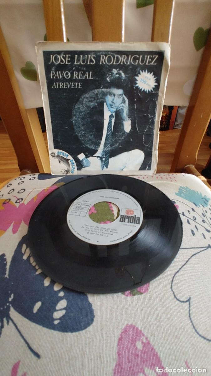 Discos de vinilo: EL PUMA-SINGLE PAVO REAL