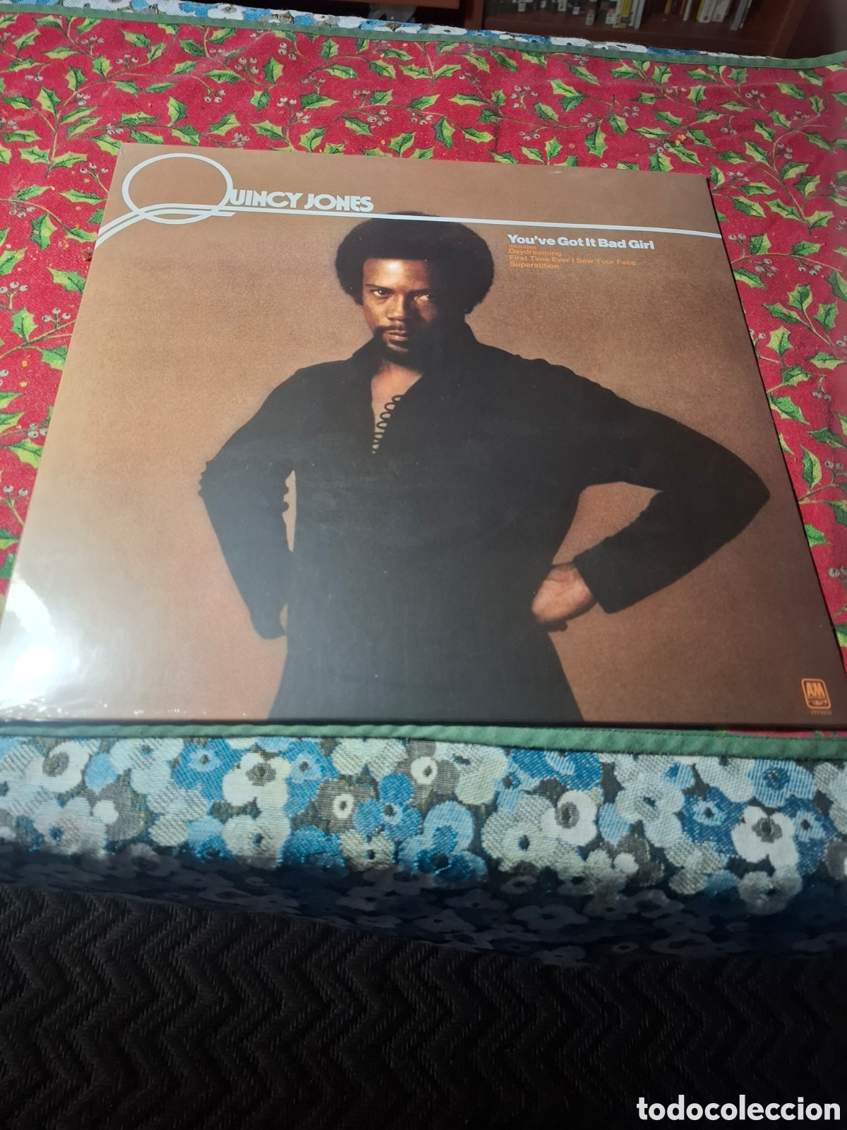Discos de vinilo: Quincy Jones You've Got It Bad Girl reed