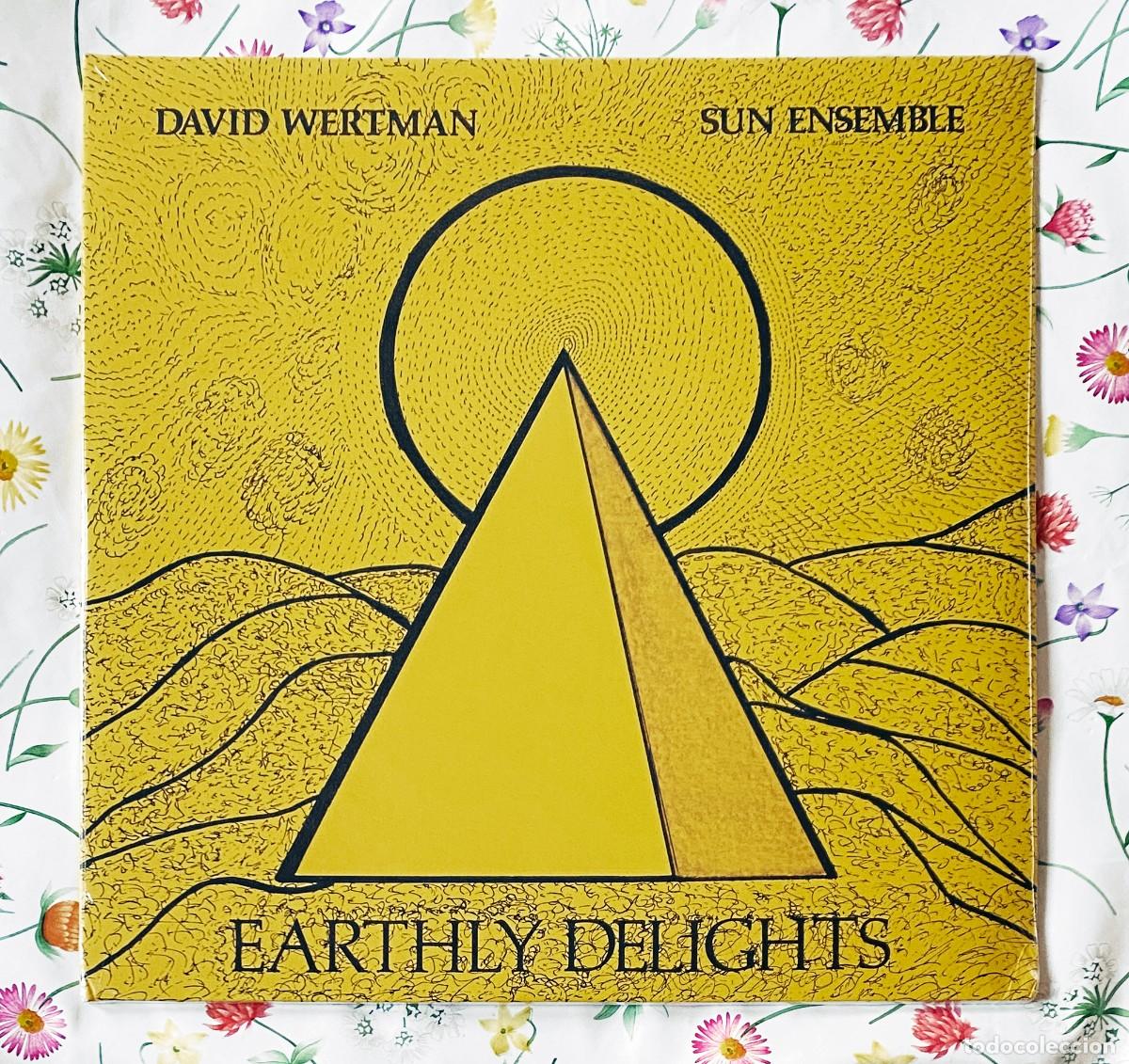 Discos de vinilo: DAVID WERTMAN, SUN ENSEMBLE - EARTHLY DELIGHTS 12'' DOBLE LP GATEFOLD PRECINTADO - FREE JAZZ
