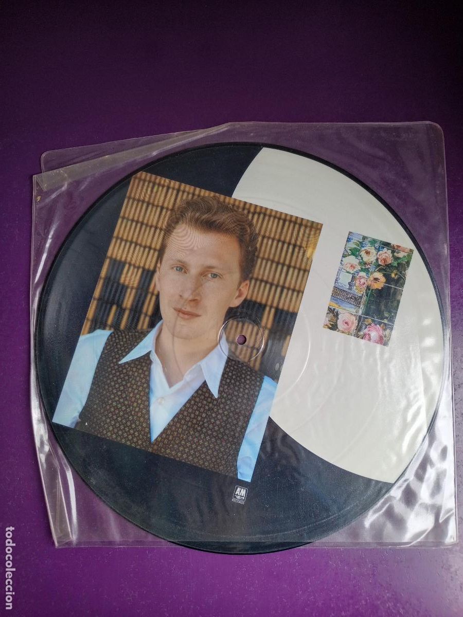 Discos de vinilo: Black &ndash; You're A Big Girl Now - MAXI Sg PICTURE DISC A&M 1988 - SYNTH POP 80'S - 4 TEMAS