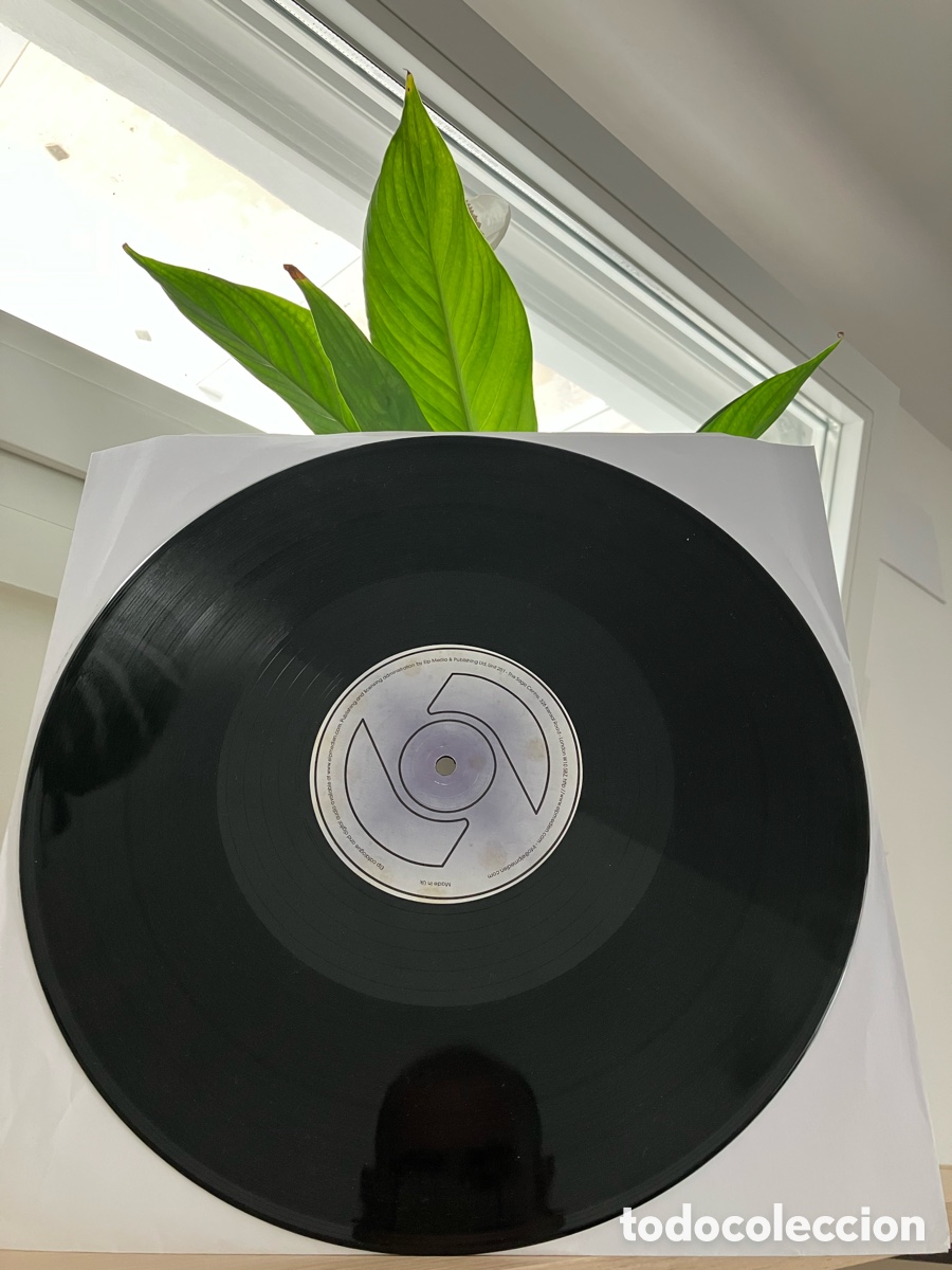 Discos de vinilo: Tomie Nevada - Night Becomes Day - Foto 4