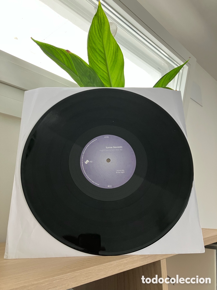 Discos de vinilo: Tomie Nevada - Night Becomes Day
