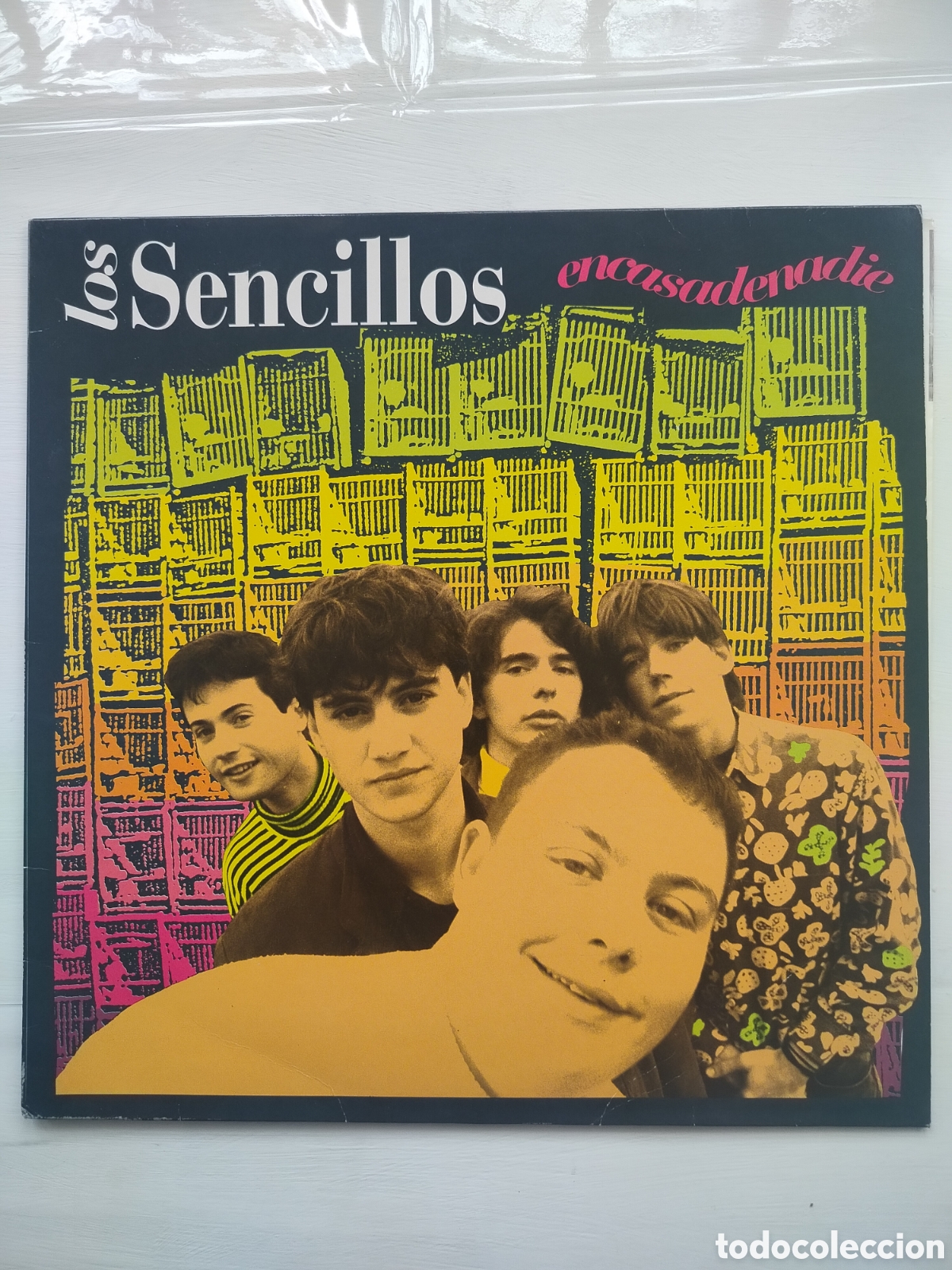 Discos de vinilo: Los Sencillos LP Encasadenadie