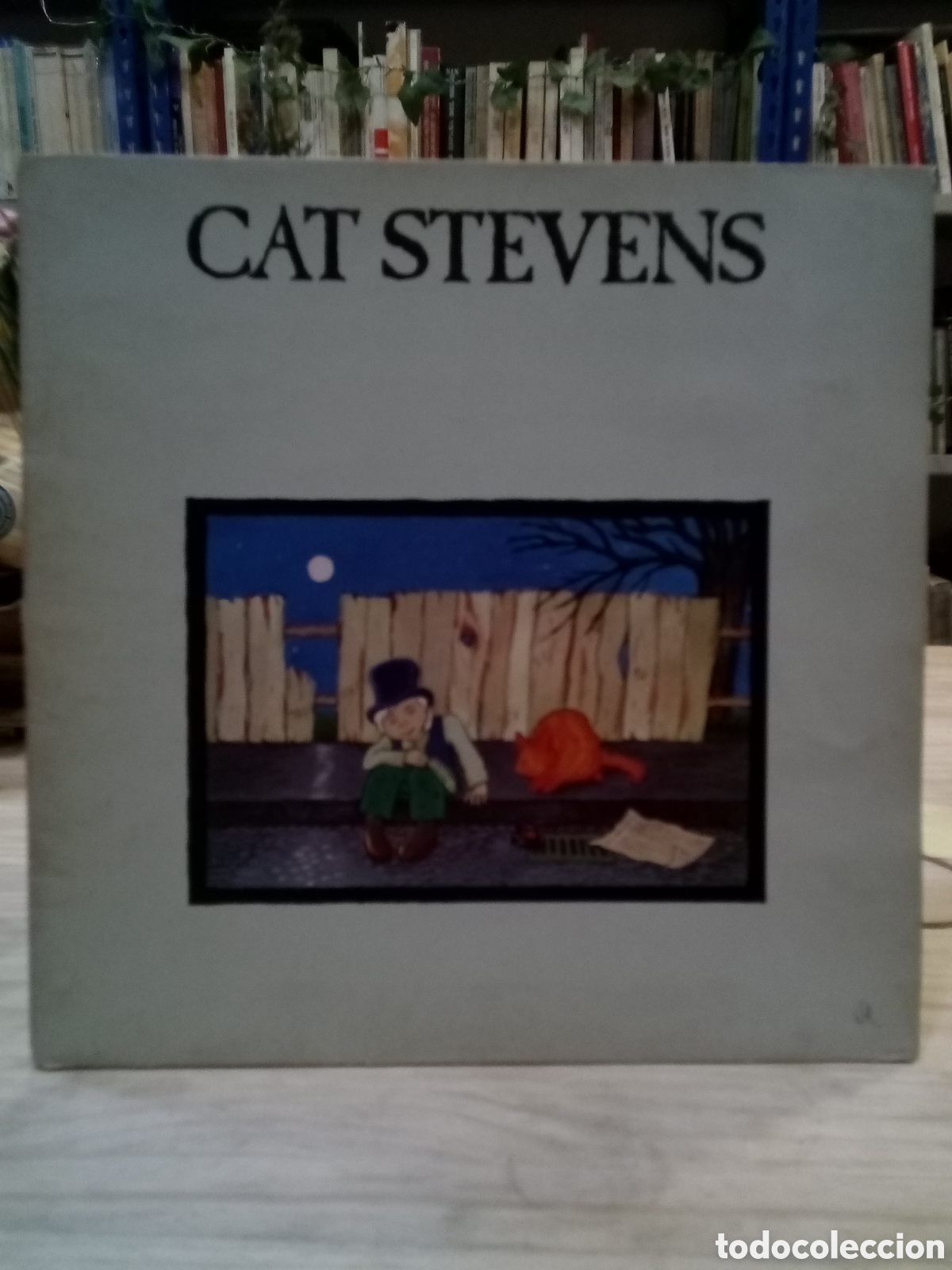 Vinyl-Schallplatten: Vinilo Cat Stevens : Teaser and the Fire at