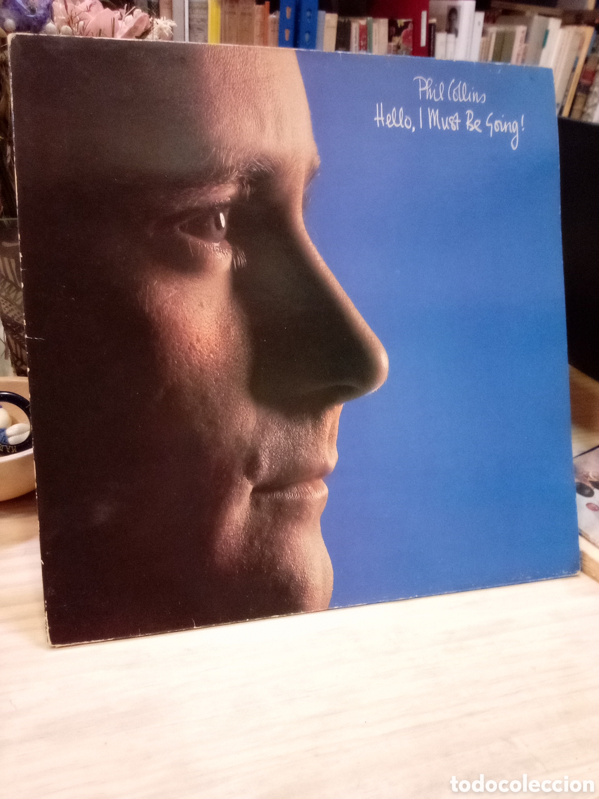 Discos de vinilo: Vinilo - Hello, I Must be Going!