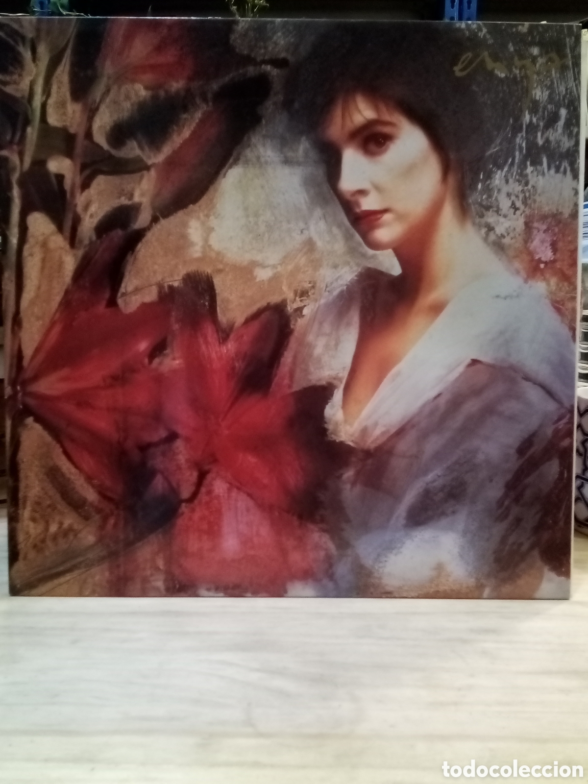 Discos de vinilo: Vinilo - Enya watermark