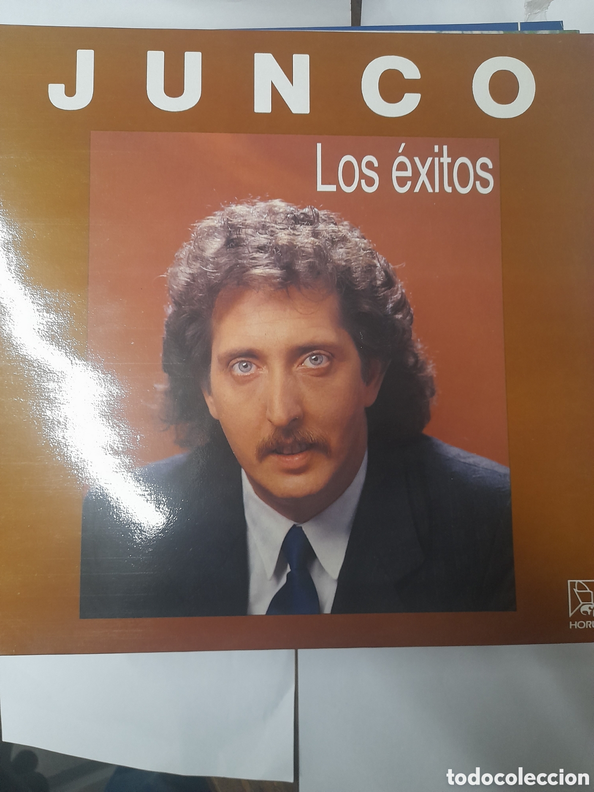 Discos de vinilo: JUNCO. LOS &Eacute;XITOS...