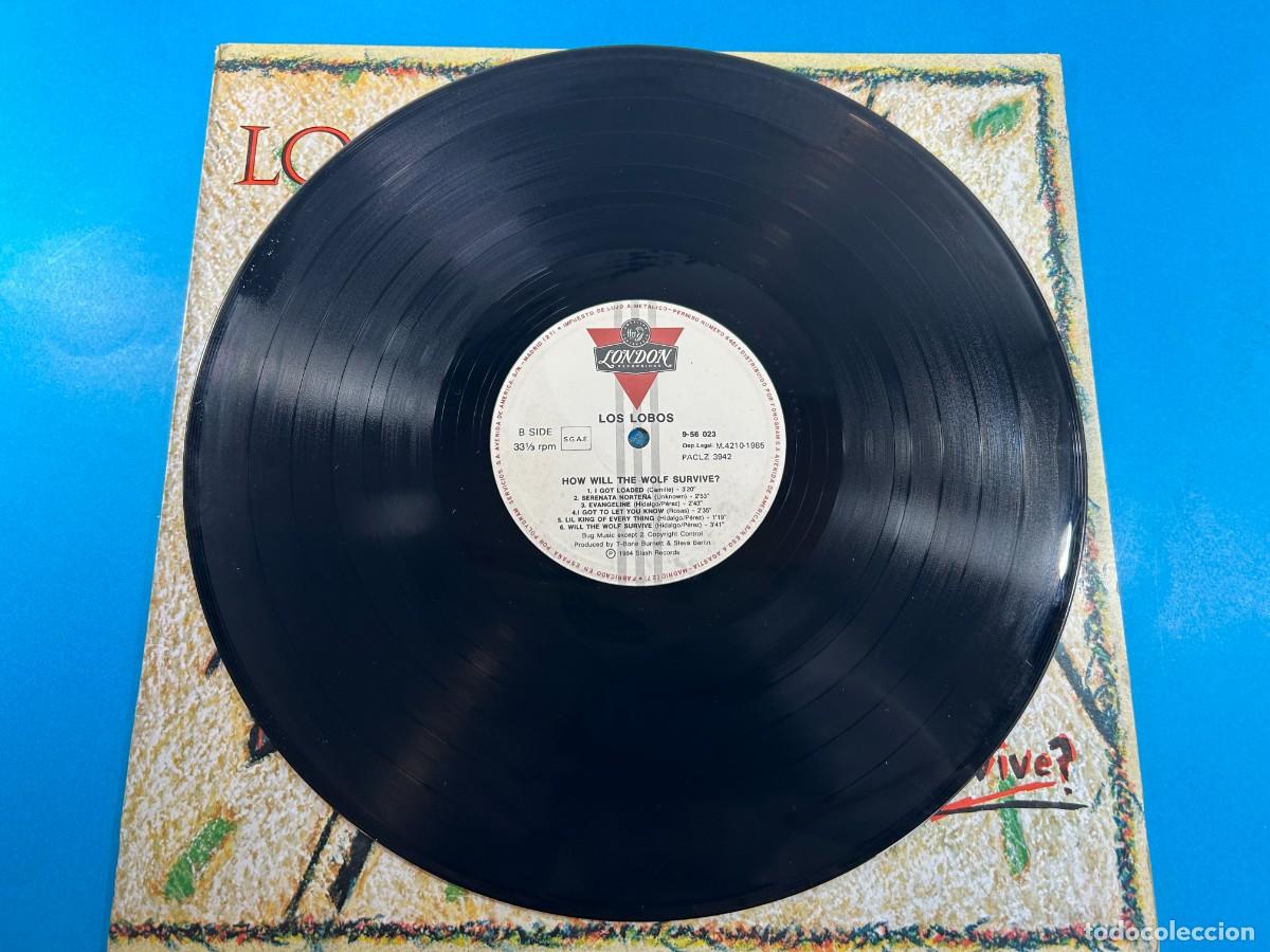 Discos de vinilo: LOS LOBOS - HOW WILL THE WOLF SURVIVE? - LP 1985 SPAIN - Foto 3