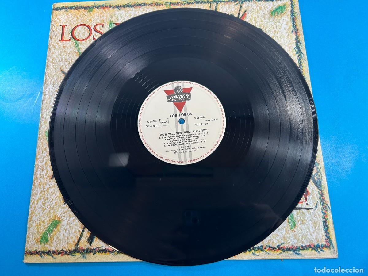 Discos de vinilo: LOS LOBOS - HOW WILL THE WOLF SURVIVE? - LP 1985 SPAIN - Foto 4