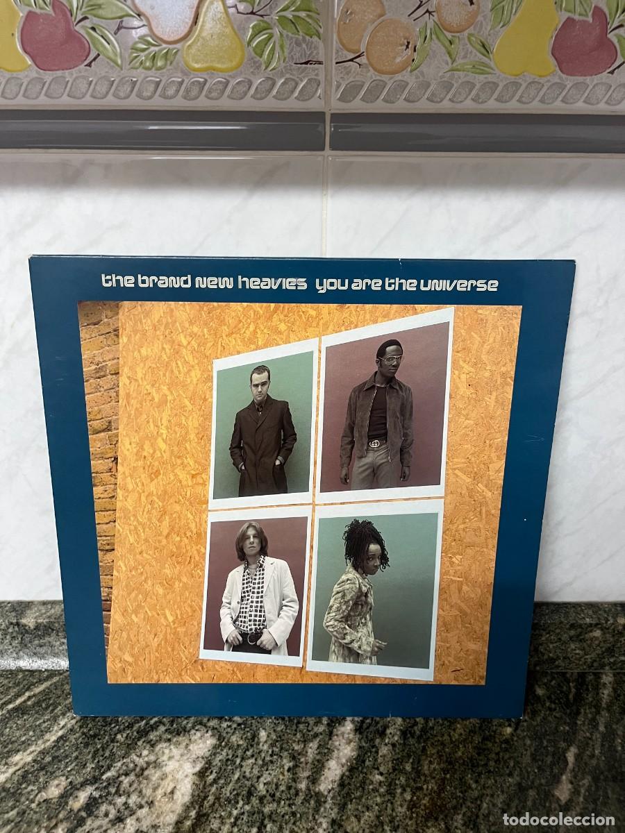Discos de vinilo: The Brand New Heavies You Are The Universe