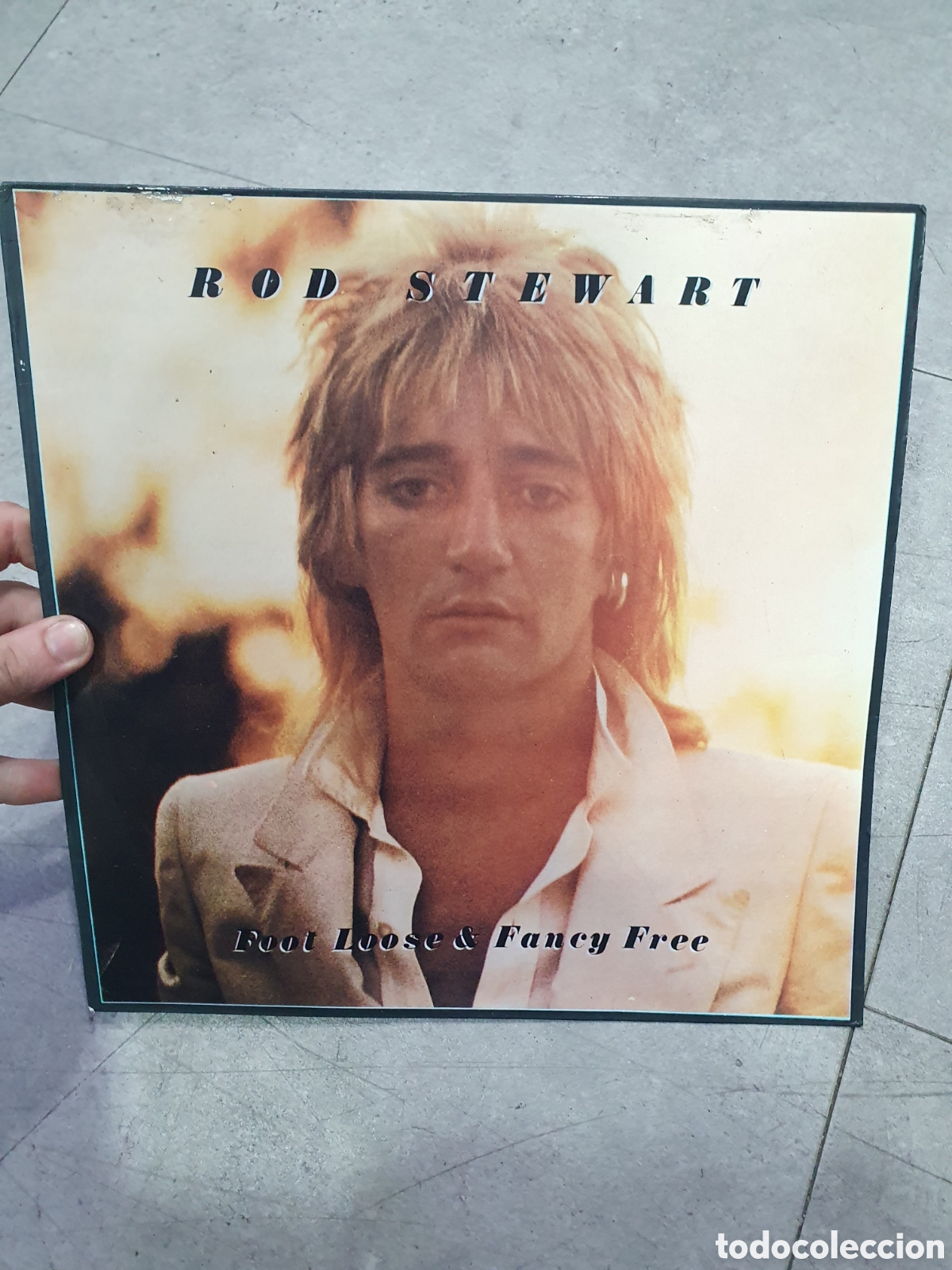 Vinyl records: LP. Rod Stewart. Foot Loose & Fancy Free.