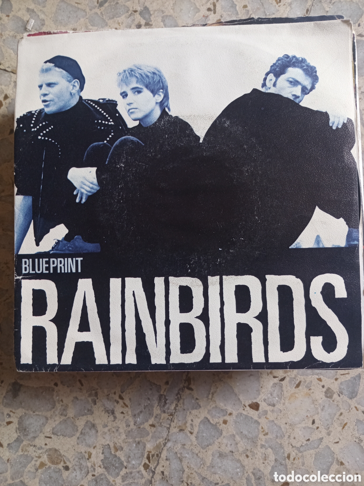 Vinyl-Schallplatten: SGL RAINBIRDS BLUE PRINT 1987