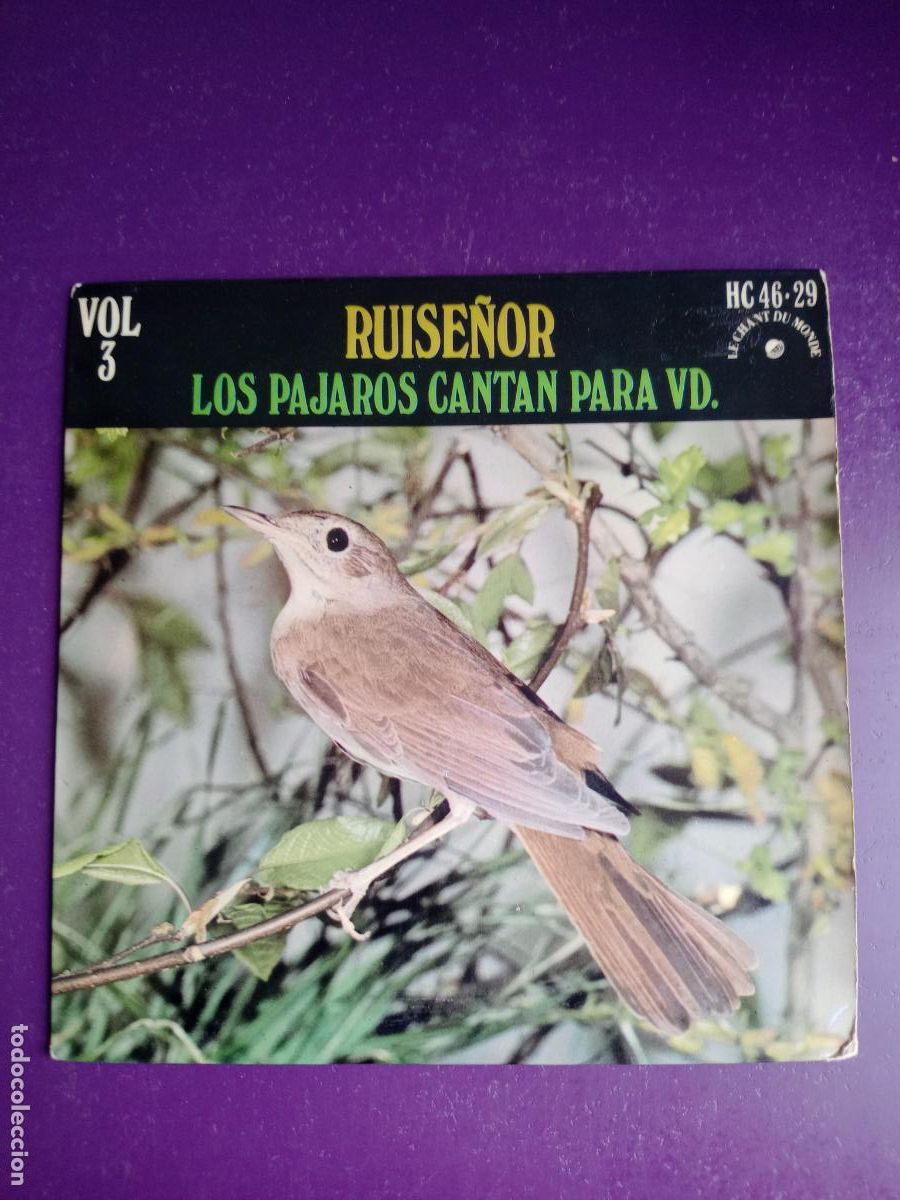 Discos de vinilo: LOS PAJAROS CANTAN PARA VD - Sg HISPAVOX 1971 - RUISE&Ntilde;OR - MUY POCO USO