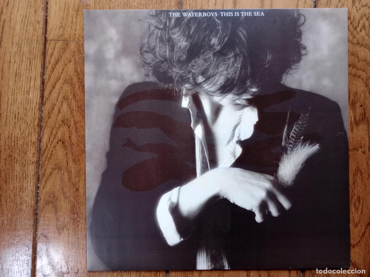 Discos de vinilo: The Waterboys - this is sea