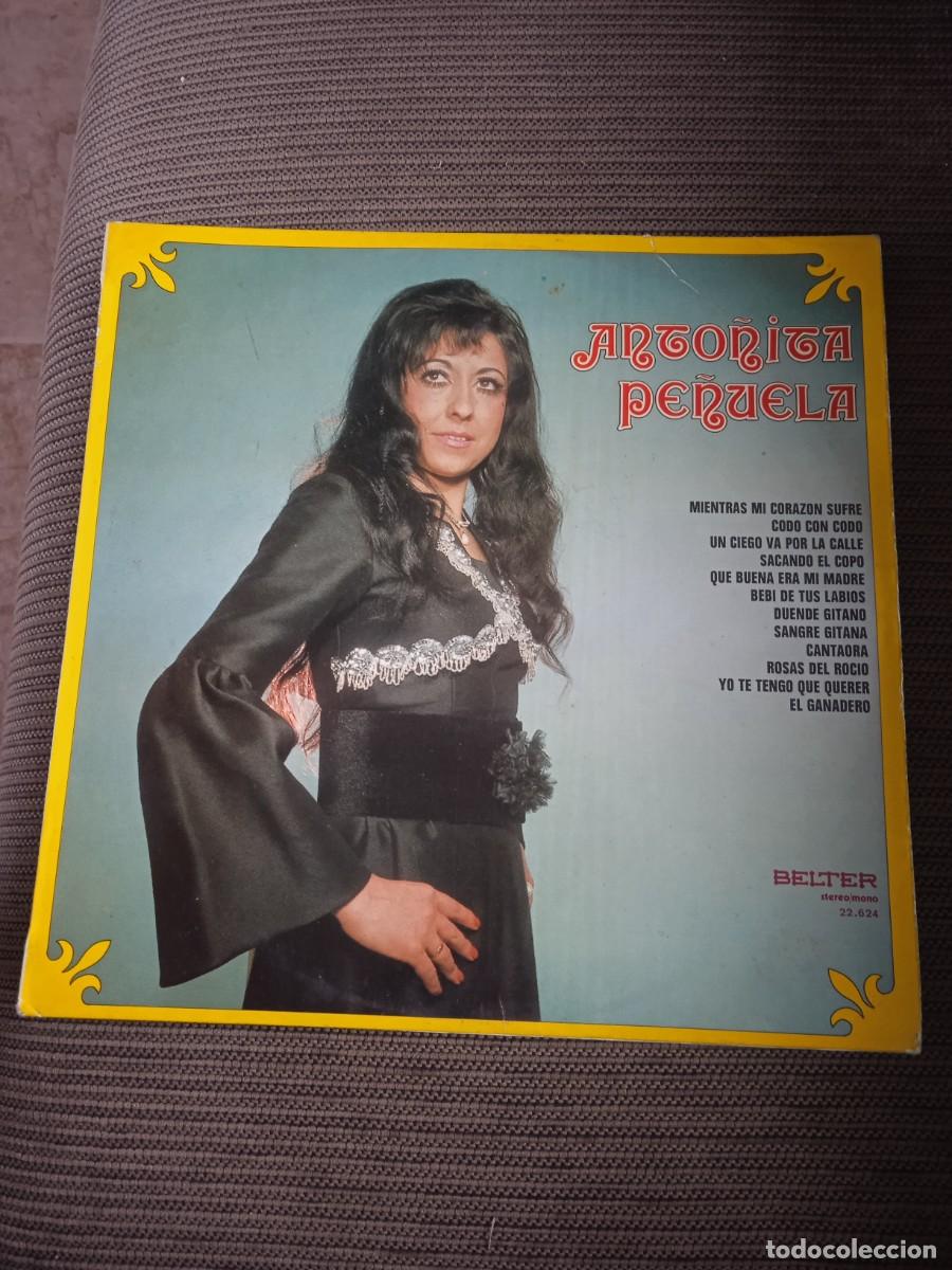 Discos de vinilo: Anto&ntilde;ita Pe&ntilde;uela | Mientras mi coraz&oacute;n sufre | Disco Vinilo Musica