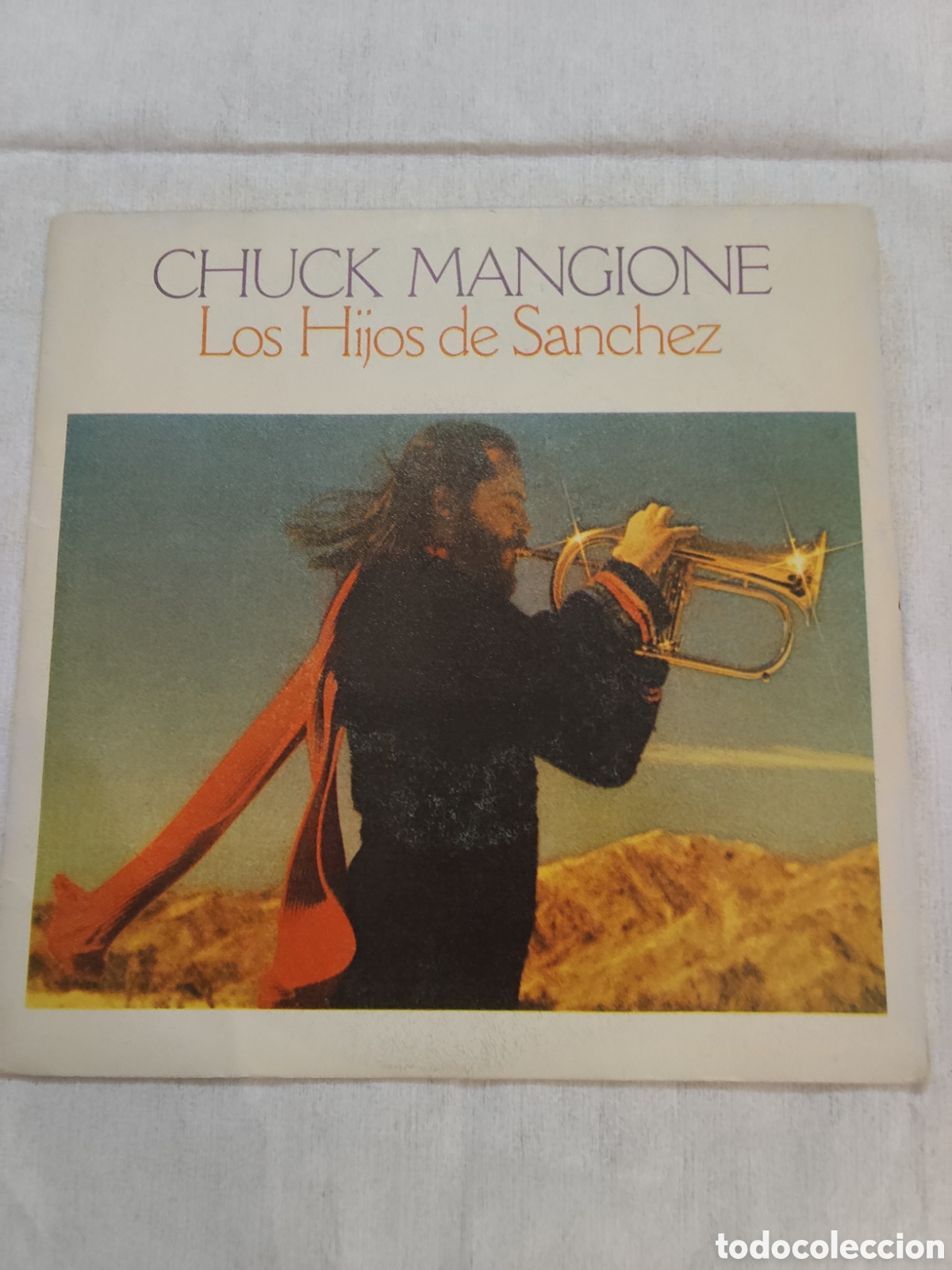 Discos de vinilo: &ldquo;Singles raros instrumental colecci&oacute;n