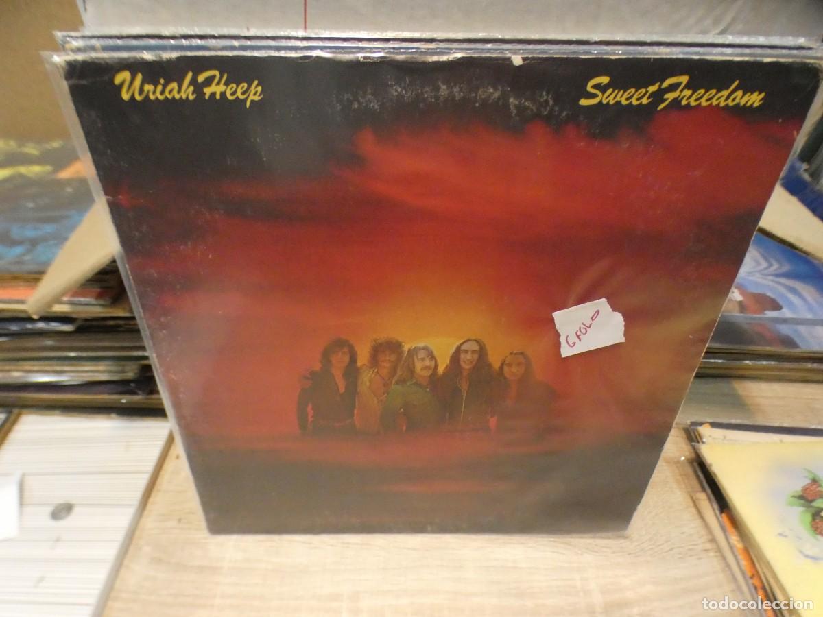 Discos de vinilo: ARKANSAS1980 BOXX711 VINILO BUEN ESTADO URIAH HEEP GFOLD