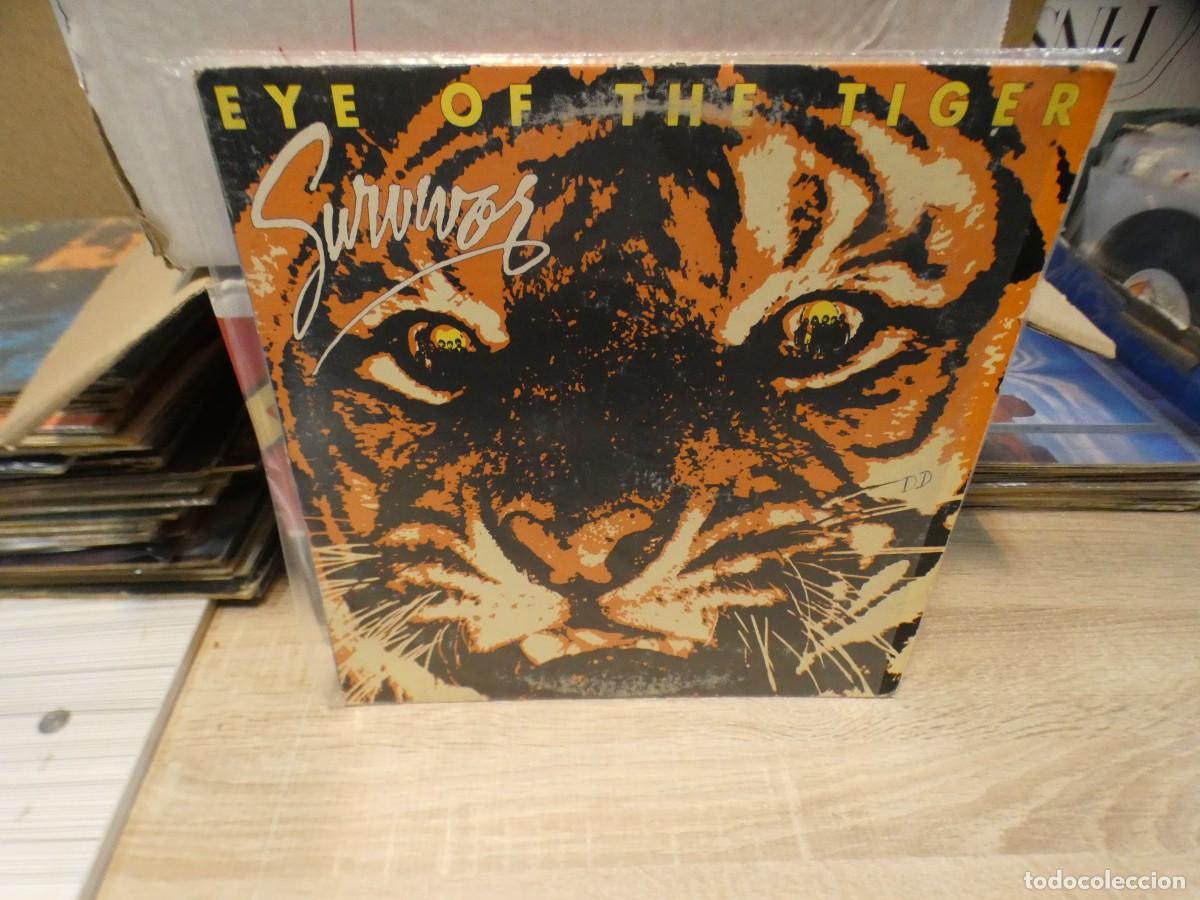 Discos de vinilo: ARKANSAS1980 BOXX711 VINILO LEVES SE&Ntilde;ALES DE USO SURVIVOR