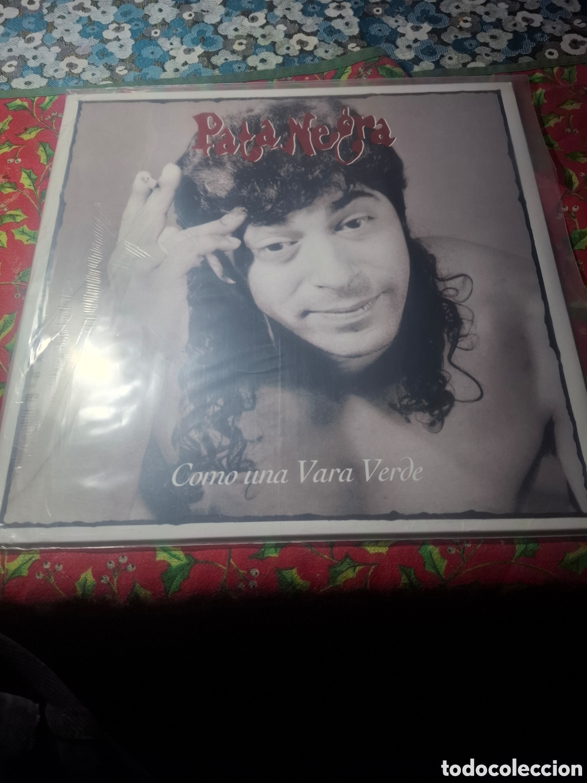 Discos de vinilo: Pata Negra Como Una Vara Verde Precintado