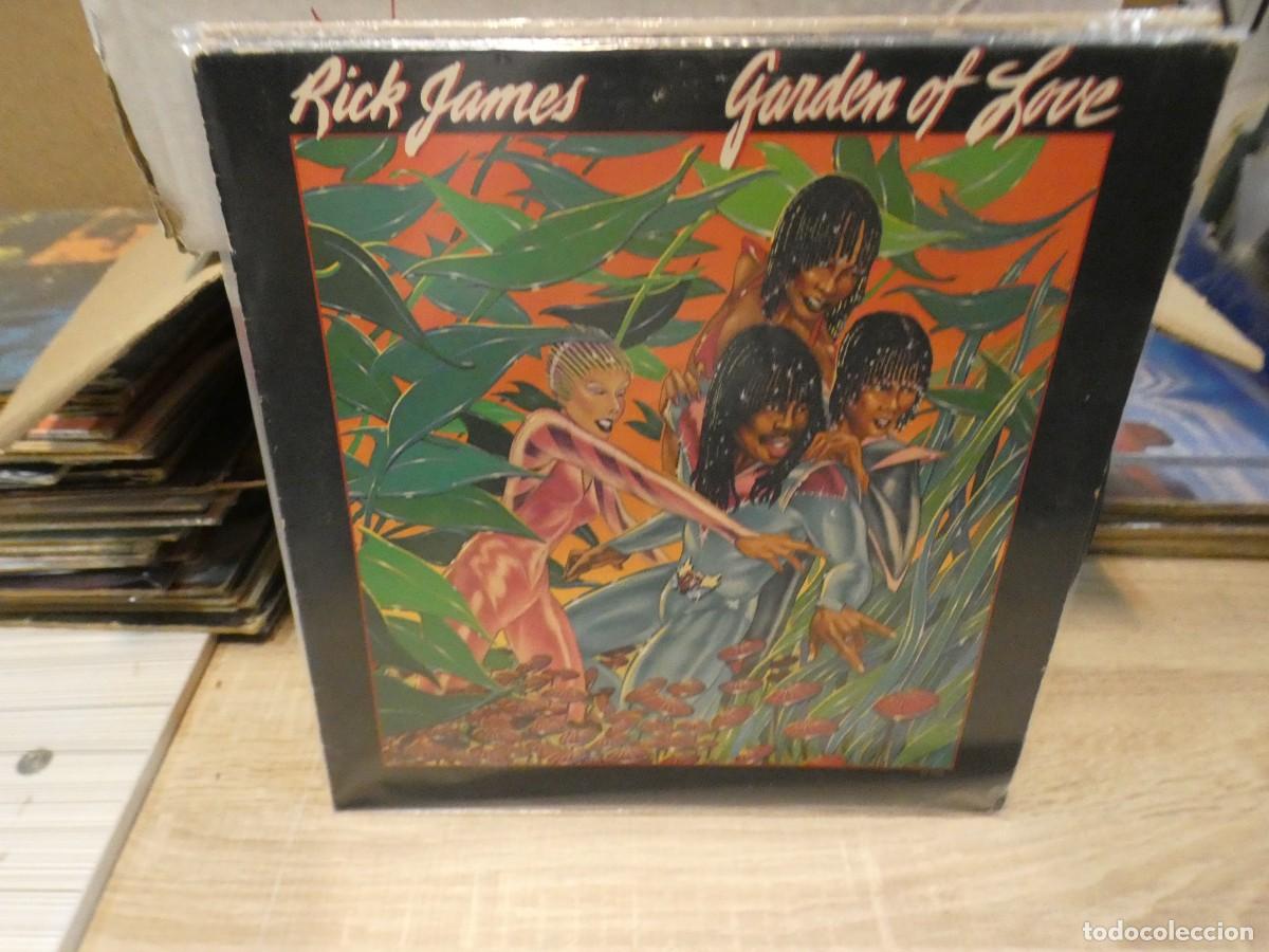Discos de vinilo: ARKANSAS1980 CAJJ721 VINILO LEVES SE&Ntilde;ALES DE USO RICK JAMES